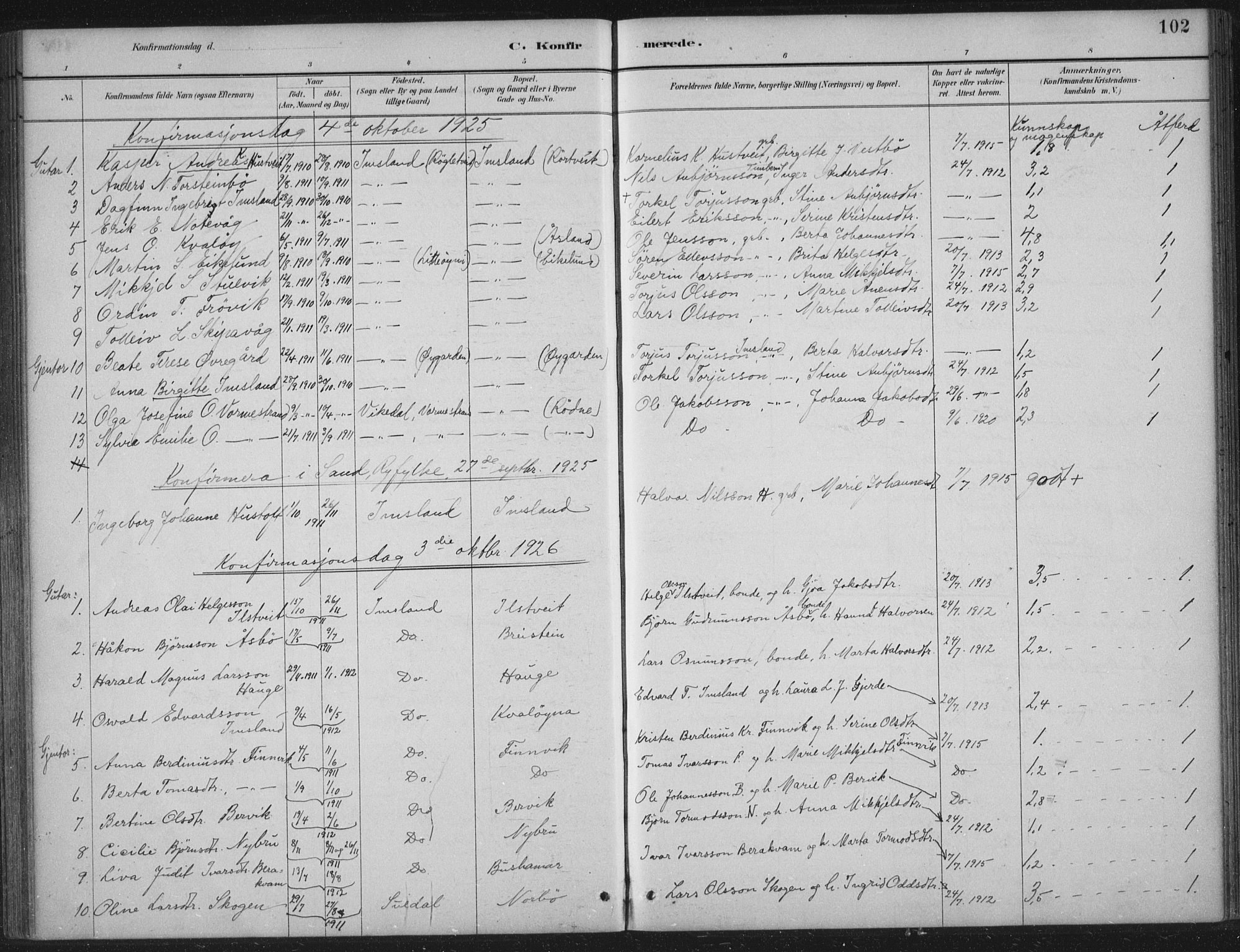 Vikedal sokneprestkontor, AV/SAST-A-101840/01/IV: Parish register (official) no. A 12, 1886-1929, p. 102