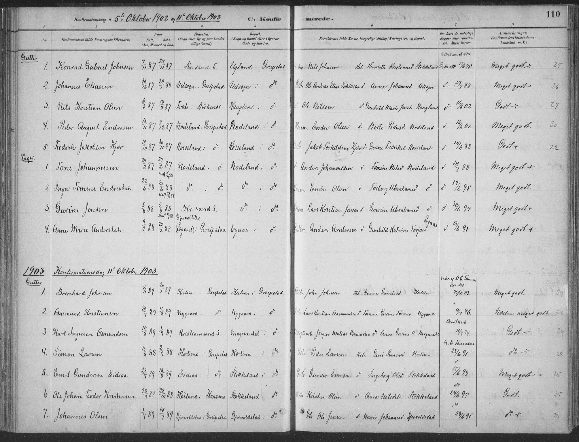 Søgne sokneprestkontor, SAK/1111-0037/F/Fa/Faa/L0003: Parish register (official) no. A 3, 1883-1910, p. 110