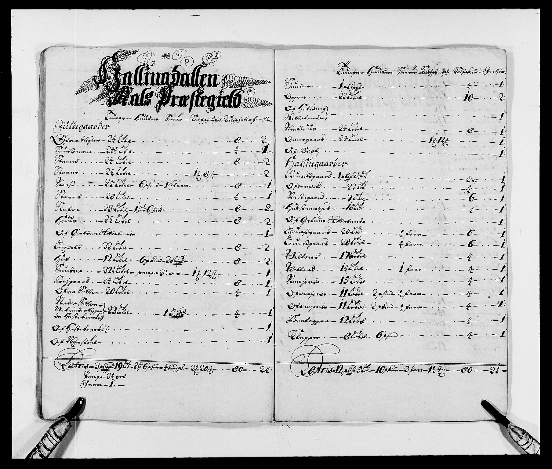 Rentekammeret inntil 1814, Reviderte regnskaper, Fogderegnskap, AV/RA-EA-4092/R21/L1447: Fogderegnskap Ringerike og Hallingdal, 1687-1689, p. 23