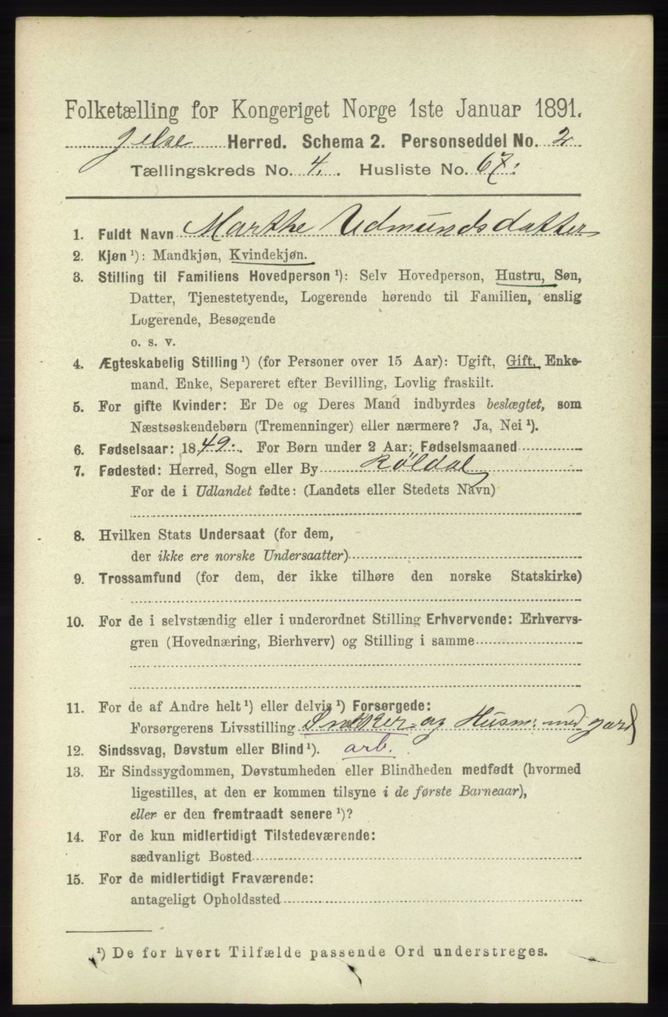 RA, 1891 census for 1138 Jelsa, 1891, p. 1025