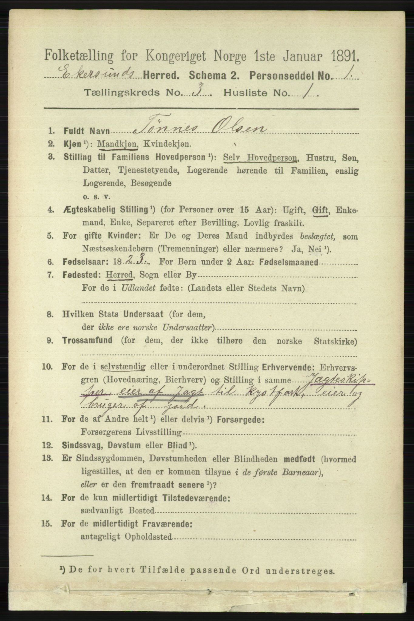 RA, 1891 census for 1116 Eigersund herred, 1891, p. 1055