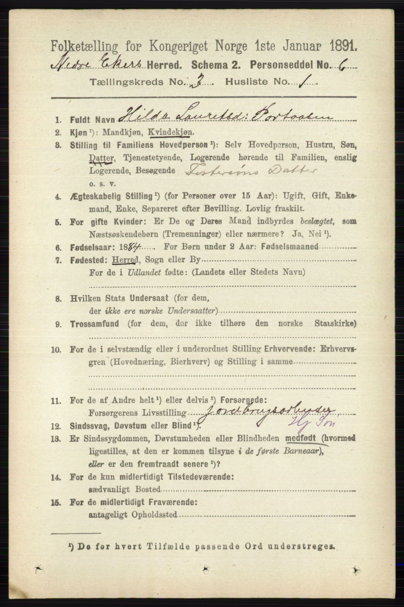 RA, 1891 census for 0625 Nedre Eiker, 1891, p. 1197