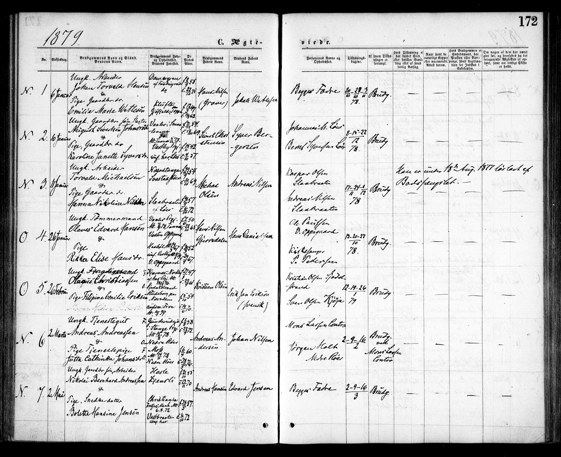 Nesodden prestekontor Kirkebøker, AV/SAO-A-10013/F/Fa/L0008: Parish register (official) no. I 8, 1869-1879, p. 172