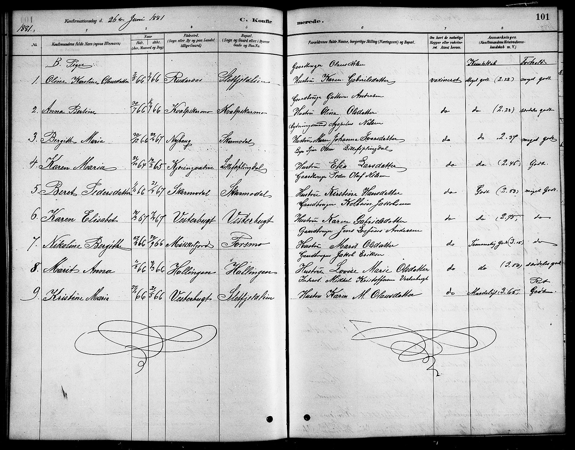 Ministerialprotokoller, klokkerbøker og fødselsregistre - Nordland, AV/SAT-A-1459/823/L0330: Parish register (copy) no. 823C02, 1879-1916, p. 101