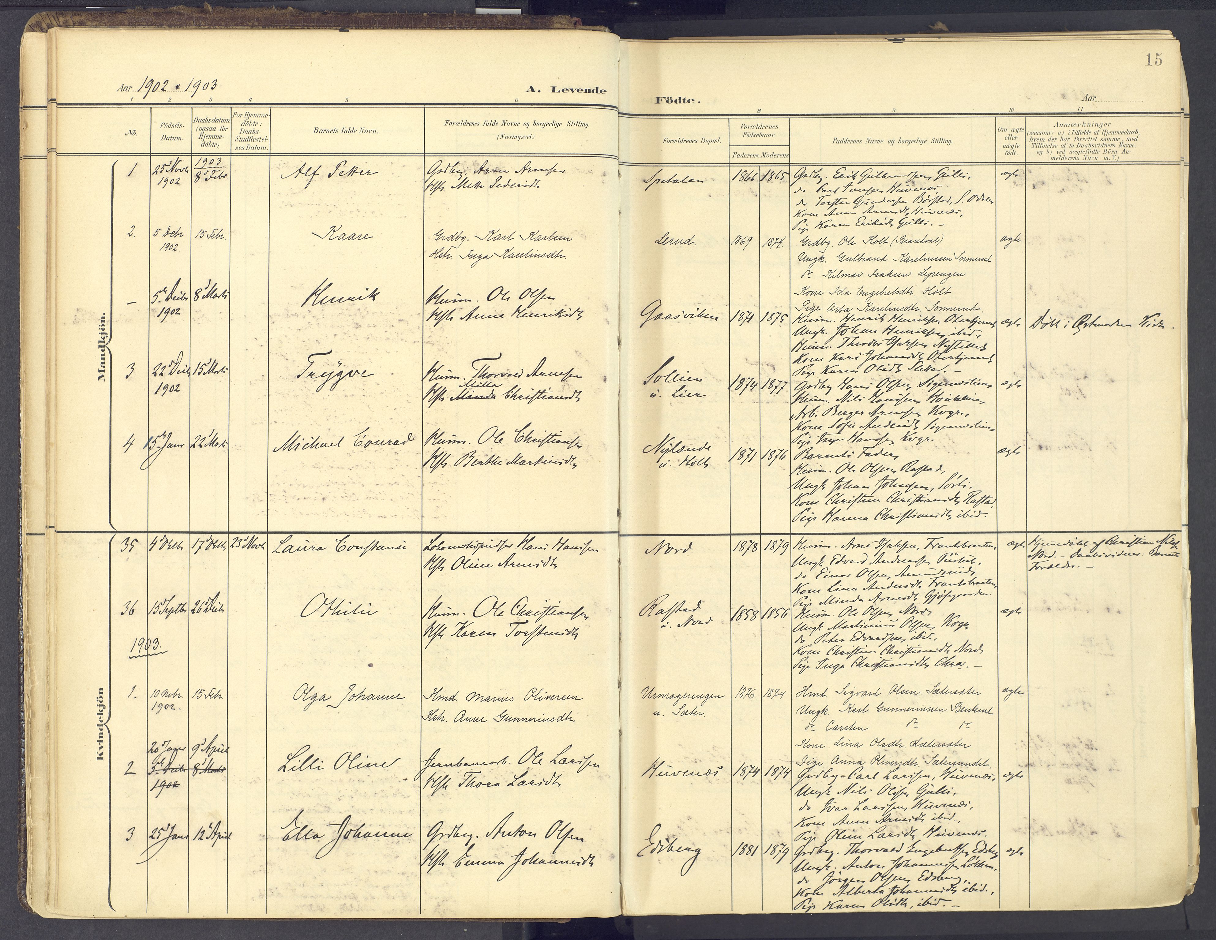 Vinger prestekontor, SAH/PREST-024/H/Ha/Haa/L0017: Parish register (official) no. 17, 1901-1927, p. 15