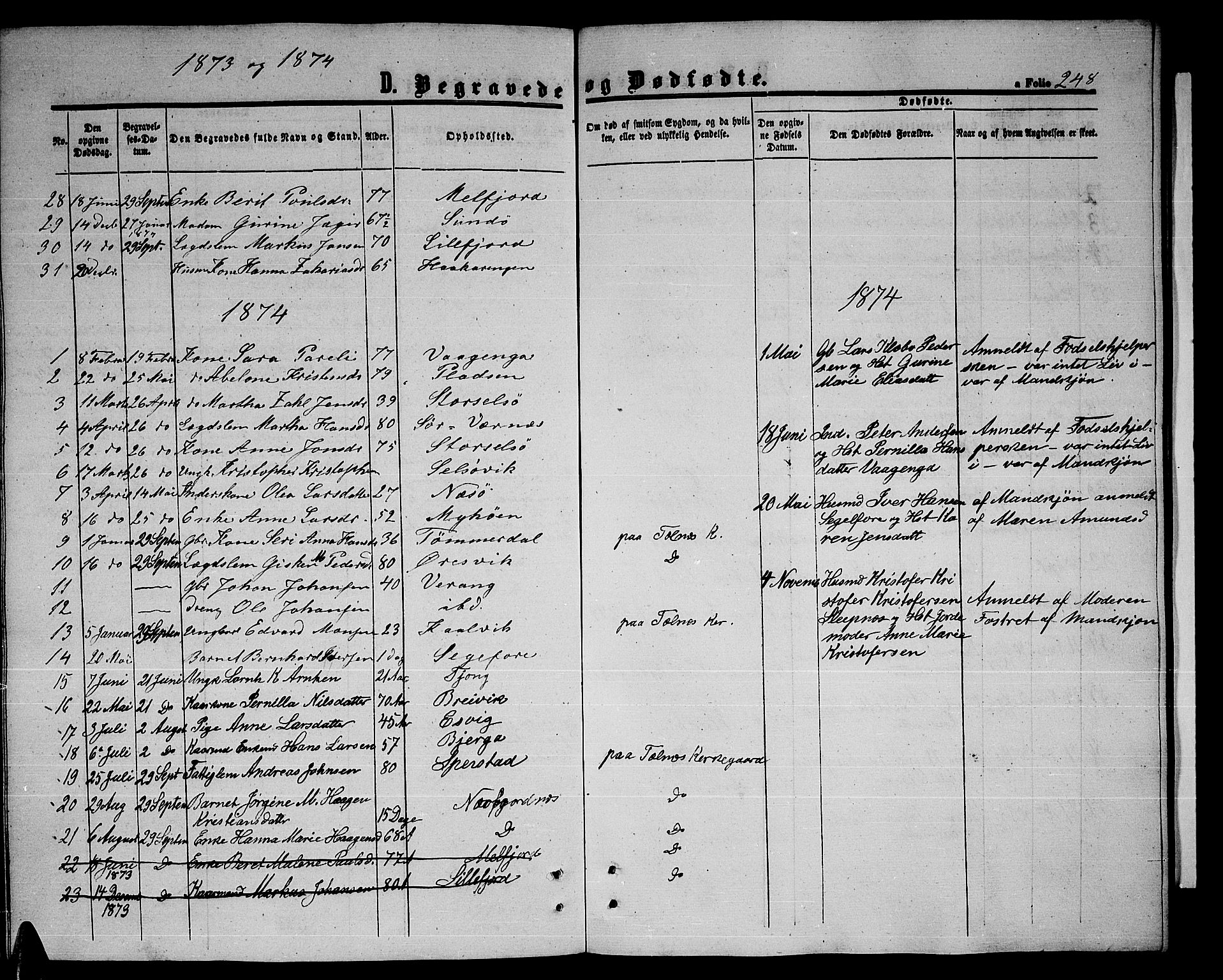 Ministerialprotokoller, klokkerbøker og fødselsregistre - Nordland, AV/SAT-A-1459/841/L0619: Parish register (copy) no. 841C03, 1856-1876, p. 248