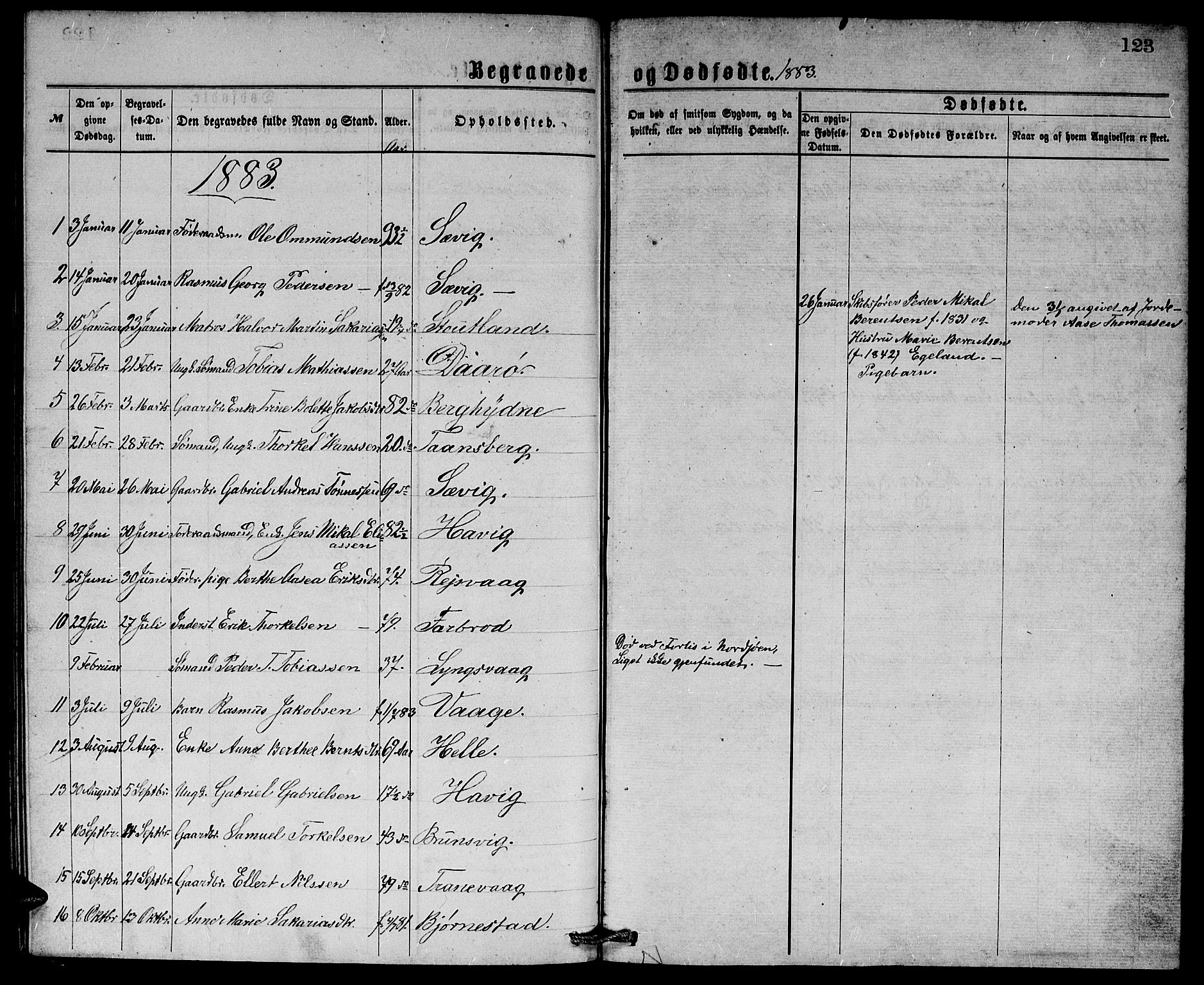 Herad sokneprestkontor, AV/SAK-1111-0018/F/Fb/Fbb/L0003: Parish register (copy) no. B 3, 1872-1889, p. 123