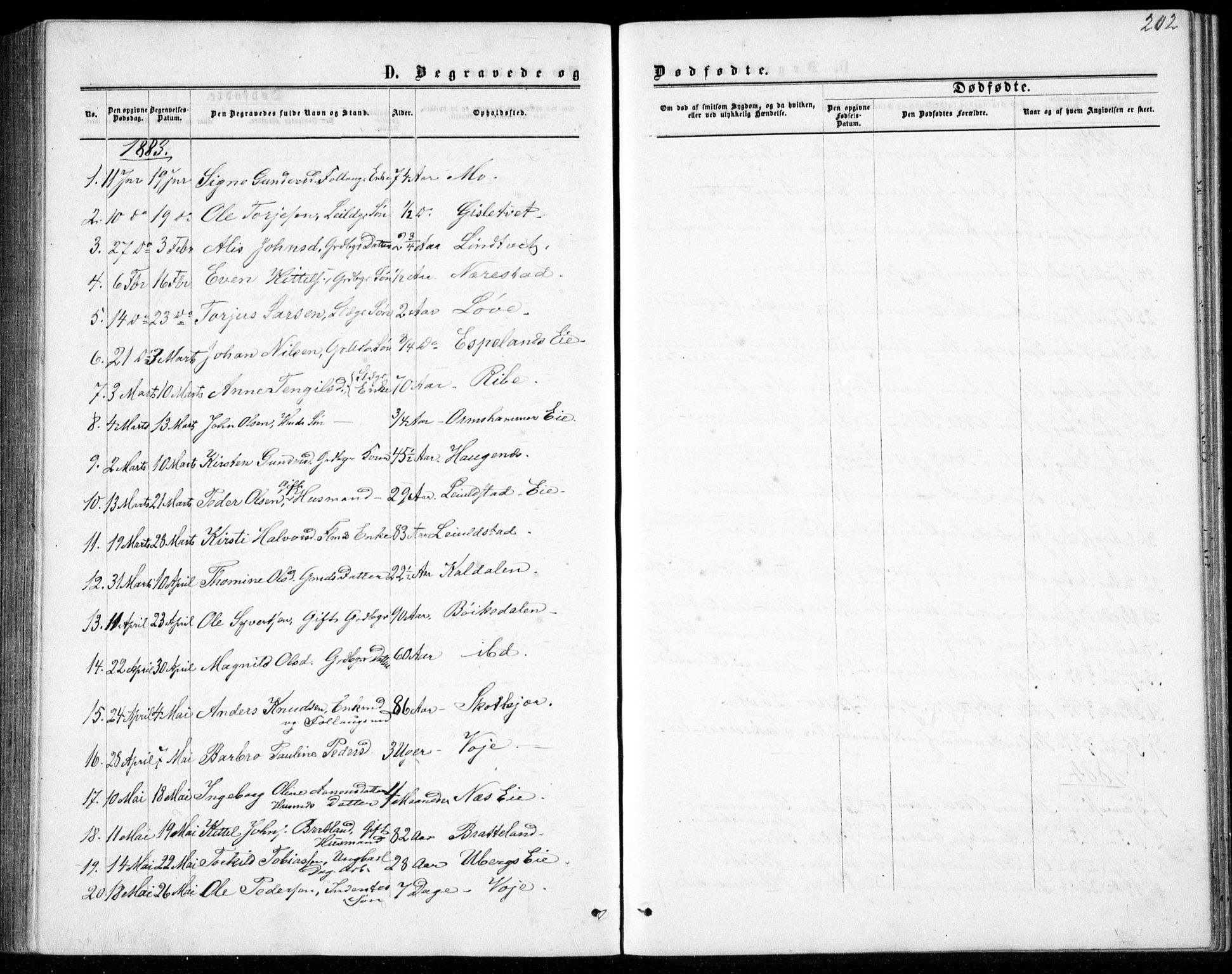 Gjerstad sokneprestkontor, AV/SAK-1111-0014/F/Fb/Fbb/L0003: Parish register (copy) no. B 3, 1862-1889, p. 202