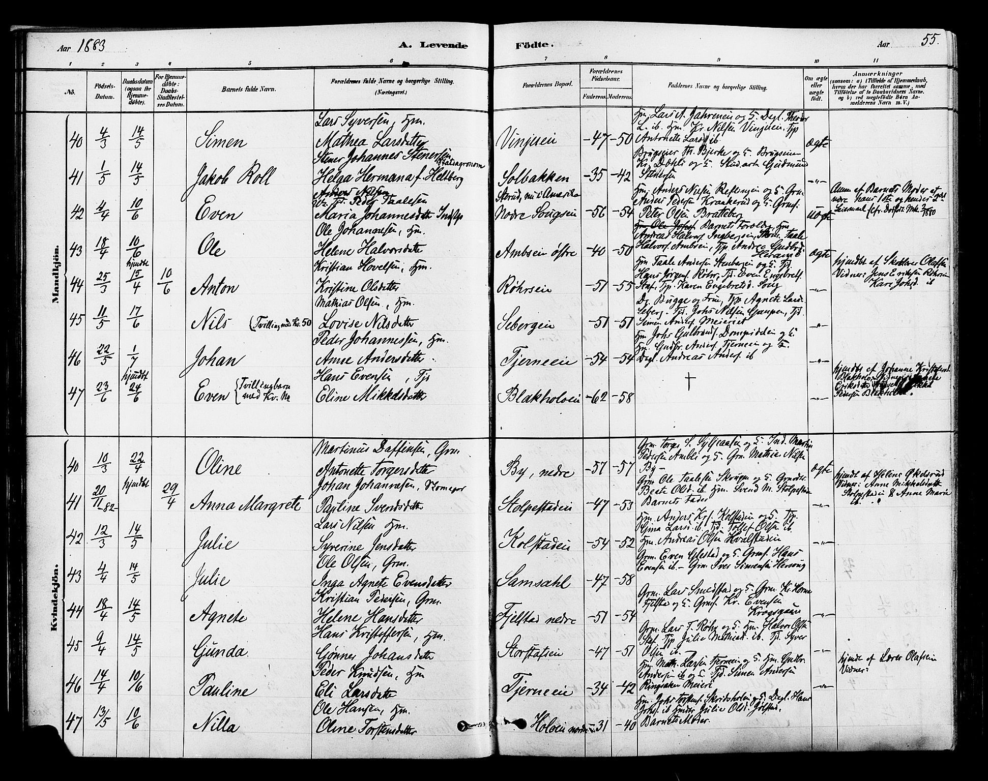 Ringsaker prestekontor, AV/SAH-PREST-014/L/La/L0009: Parish register (copy) no. 9, 1879-1890, p. 55