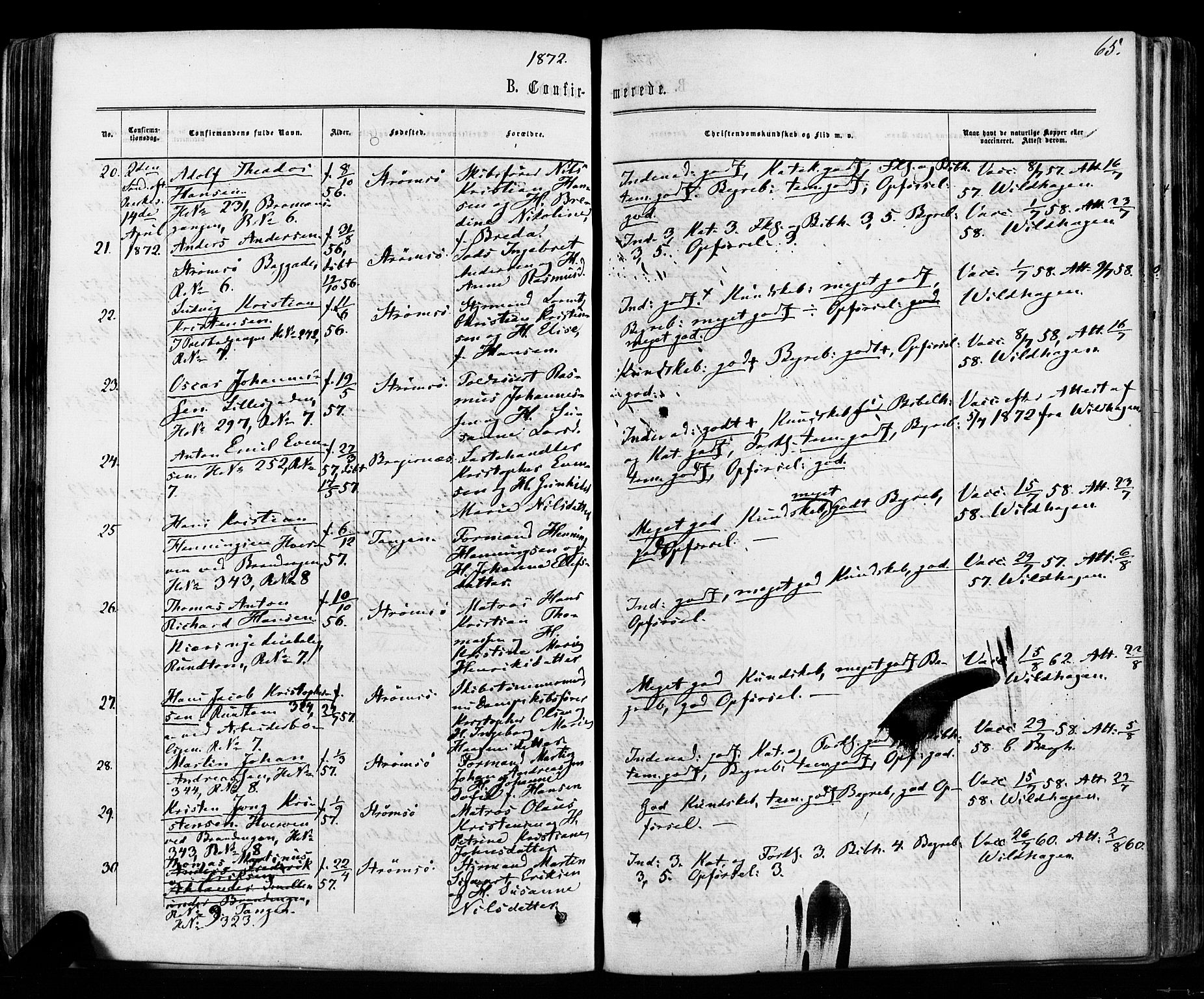 Strømsø kirkebøker, AV/SAKO-A-246/F/Fa/L0018: Parish register (official) no. I 18, 1865-1878, p. 65