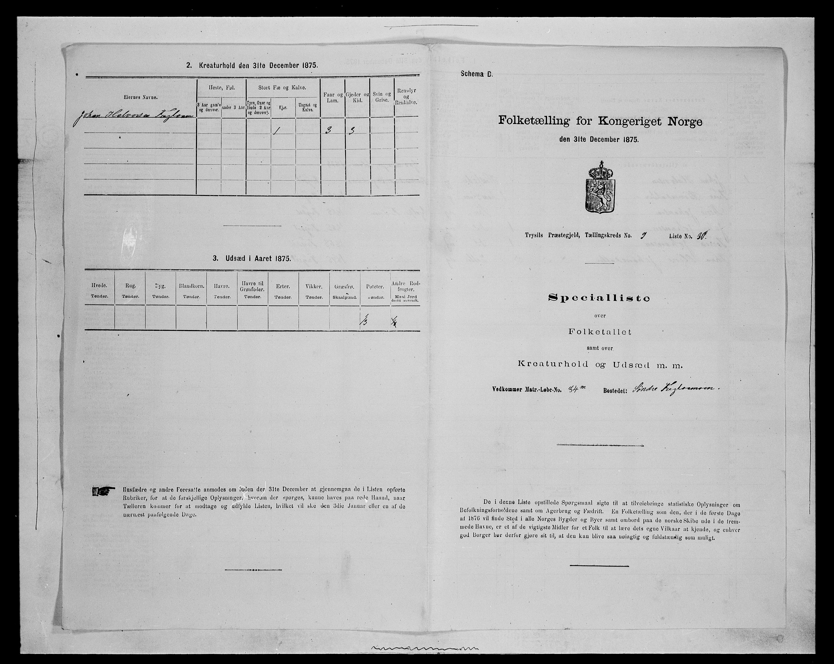 SAH, 1875 census for 0428P Trysil, 1875, p. 1135