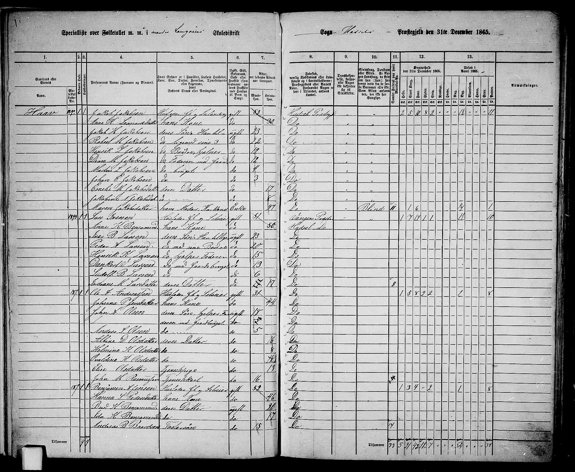 RA, 1865 census for Hadsel, 1865, p. 11