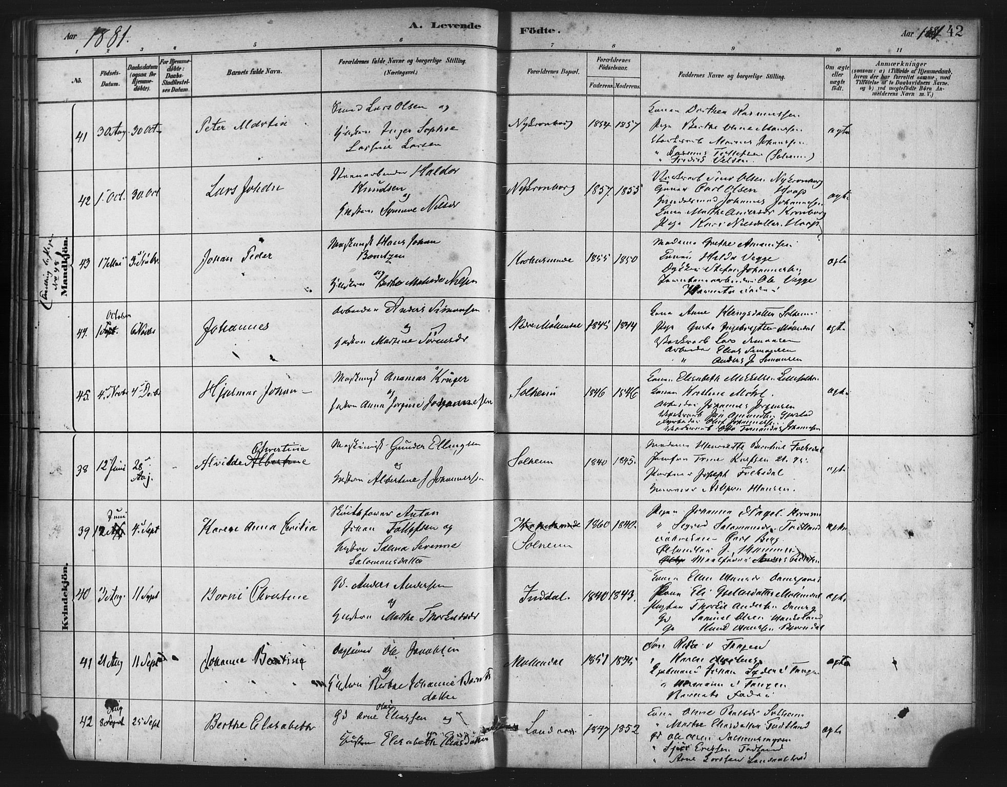 St. Jørgens hospital og Årstad sokneprestembete, AV/SAB-A-99934: Parish register (official) no. A 7, 1879-1886, p. 42