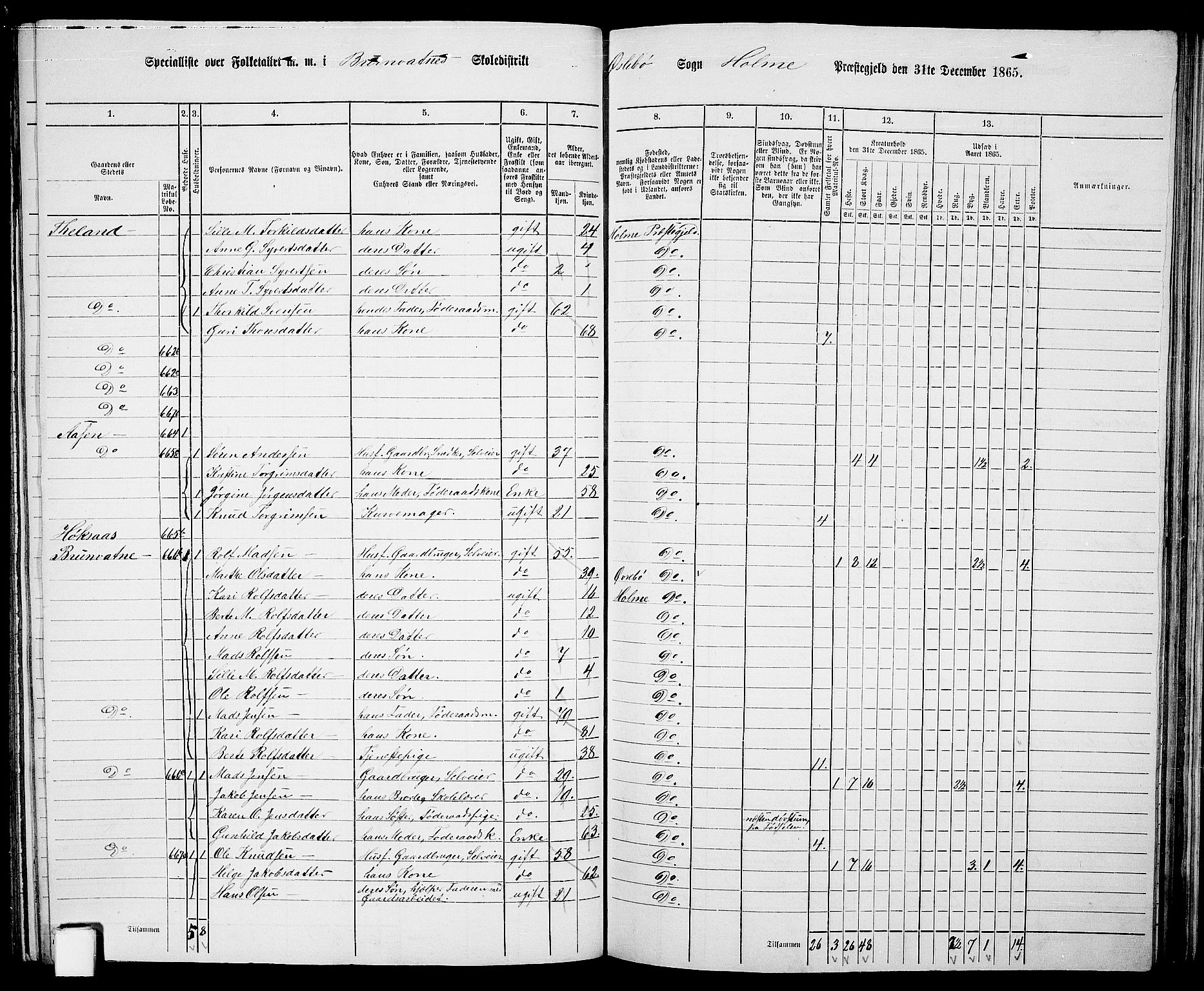 RA, 1865 census for Holum, 1865, p. 107