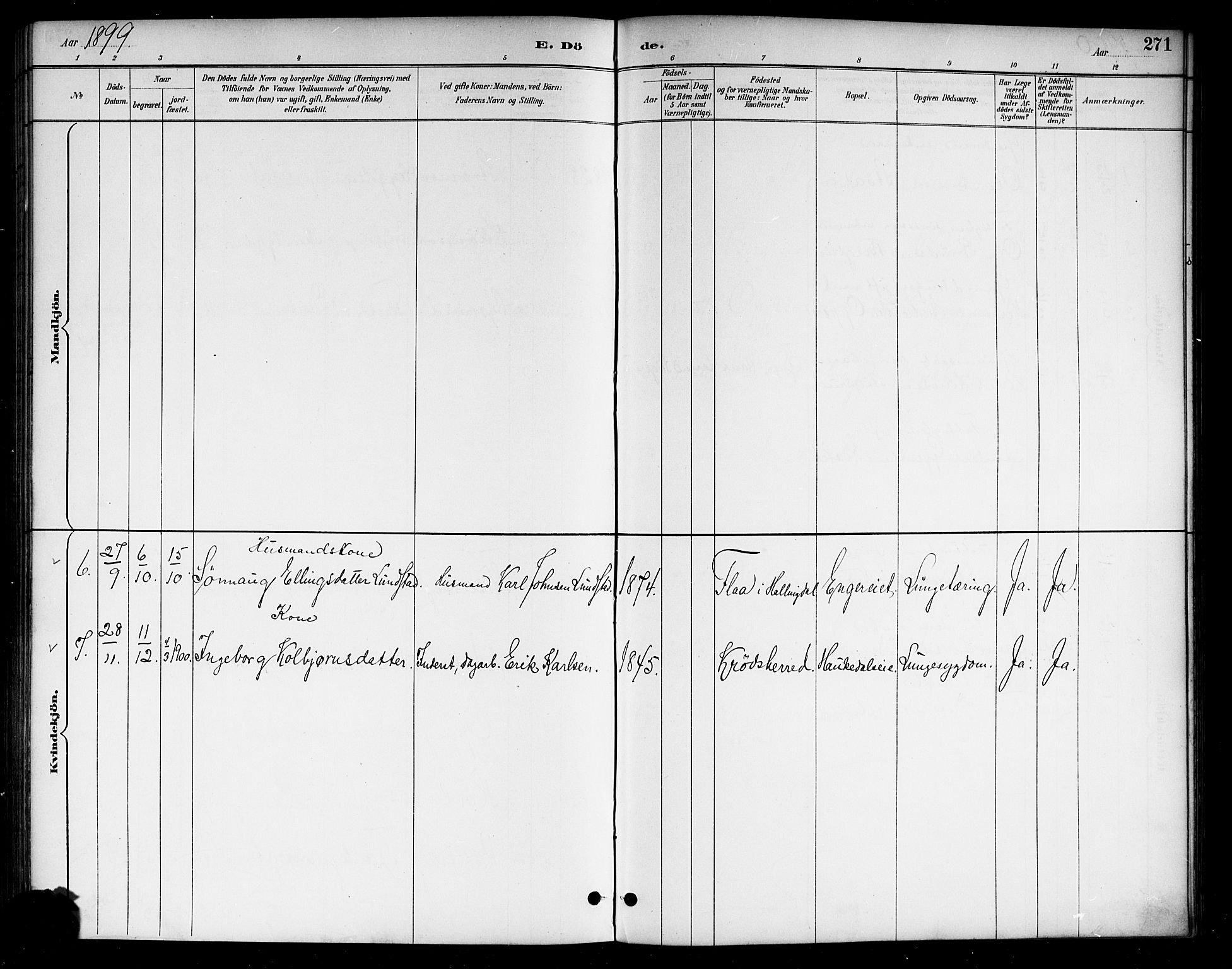 Lunder kirkebøker, AV/SAKO-A-629/G/Ga/L0004: Parish register (copy) no. I 4, 1889-1917, p. 271