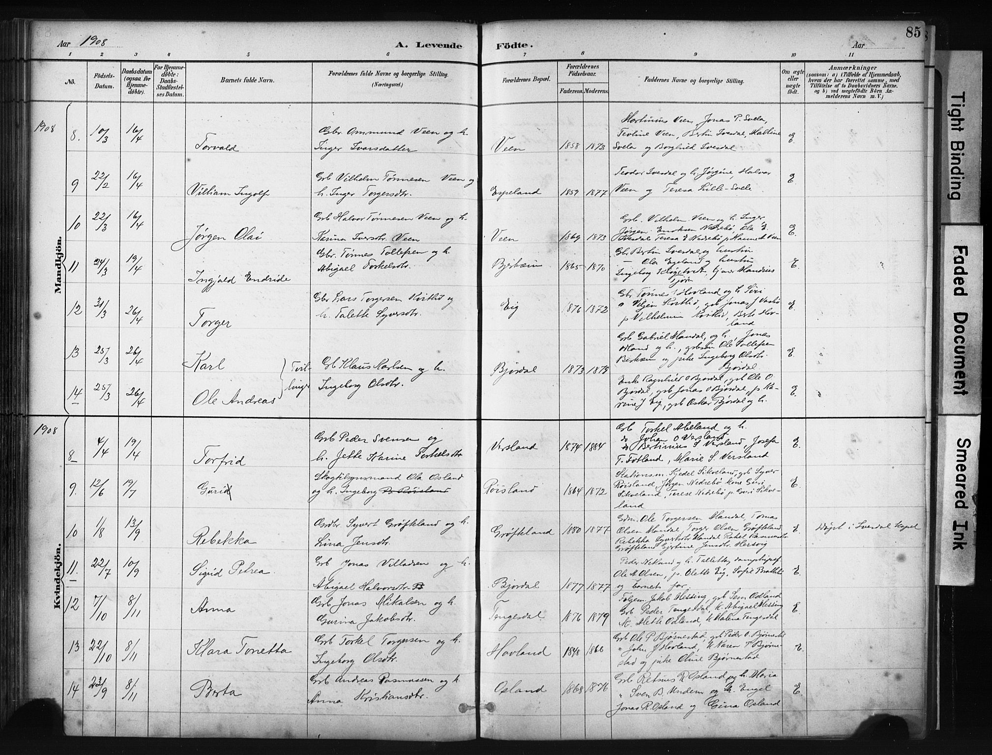 Helleland sokneprestkontor, AV/SAST-A-101810: Parish register (official) no. A 9, 1887-1908, p. 85