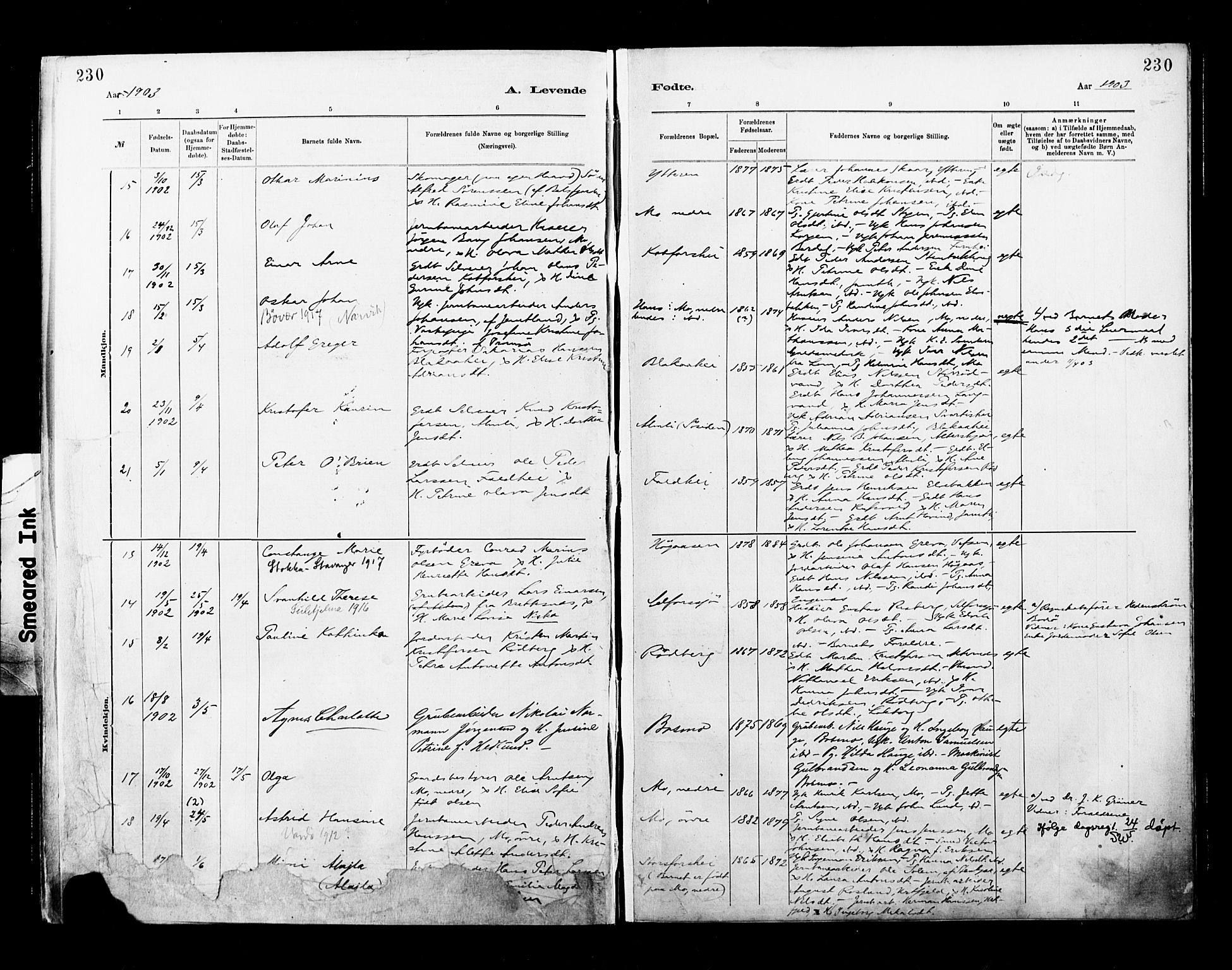 Ministerialprotokoller, klokkerbøker og fødselsregistre - Nordland, AV/SAT-A-1459/827/L0400: Parish register (official) no. 827A12, 1883-1903, p. 230