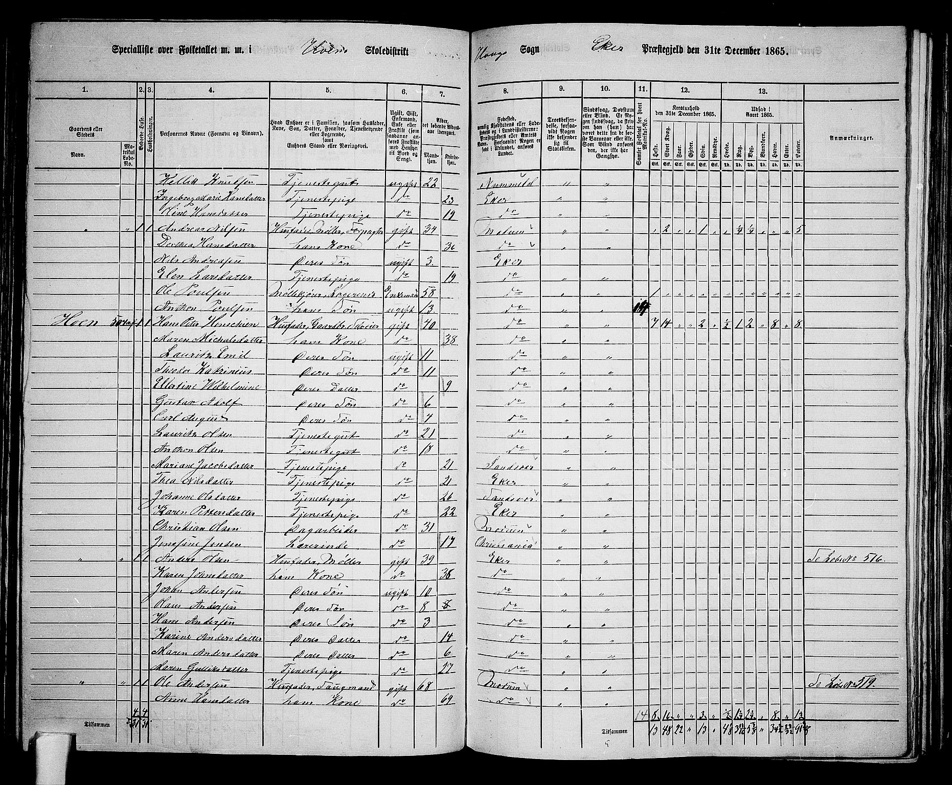 RA, 1865 census for Eiker, 1865, p. 129