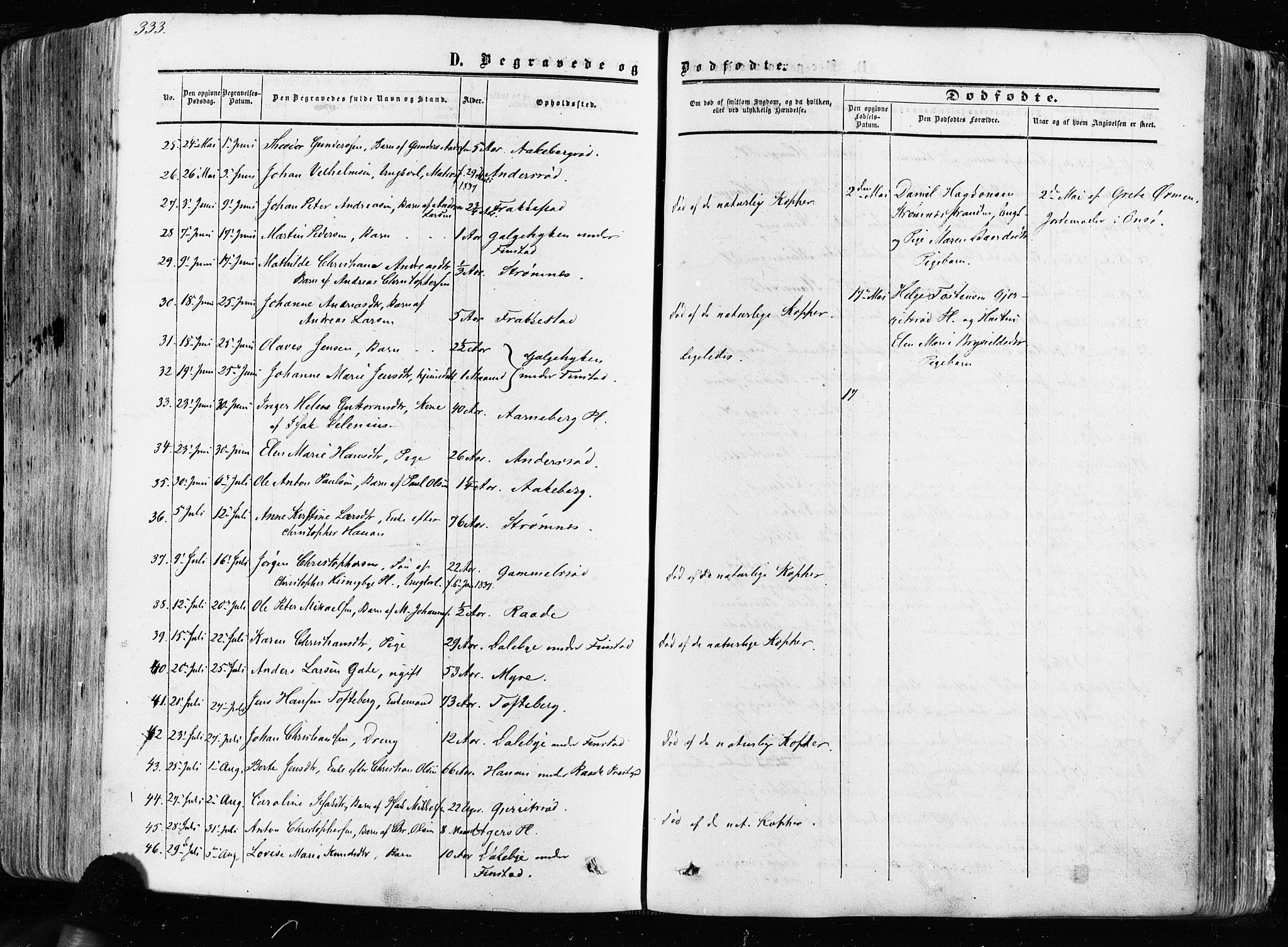 Råde prestekontor kirkebøker, AV/SAO-A-2009/F/Fa/L0006: Parish register (official) no. 6, 1854-1877, p. 333