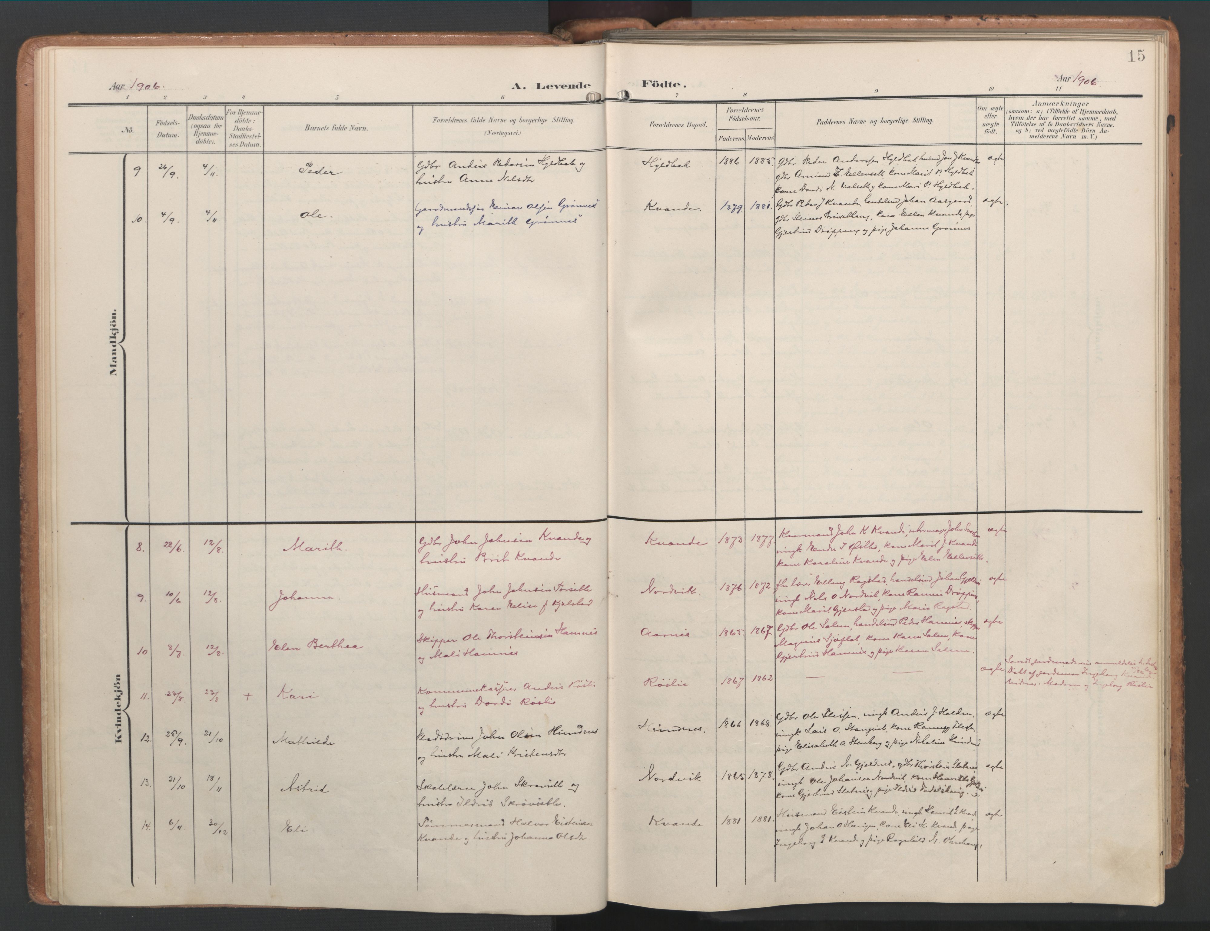 Ministerialprotokoller, klokkerbøker og fødselsregistre - Møre og Romsdal, AV/SAT-A-1454/592/L1030: Parish register (official) no. 592A08, 1901-1925, p. 15