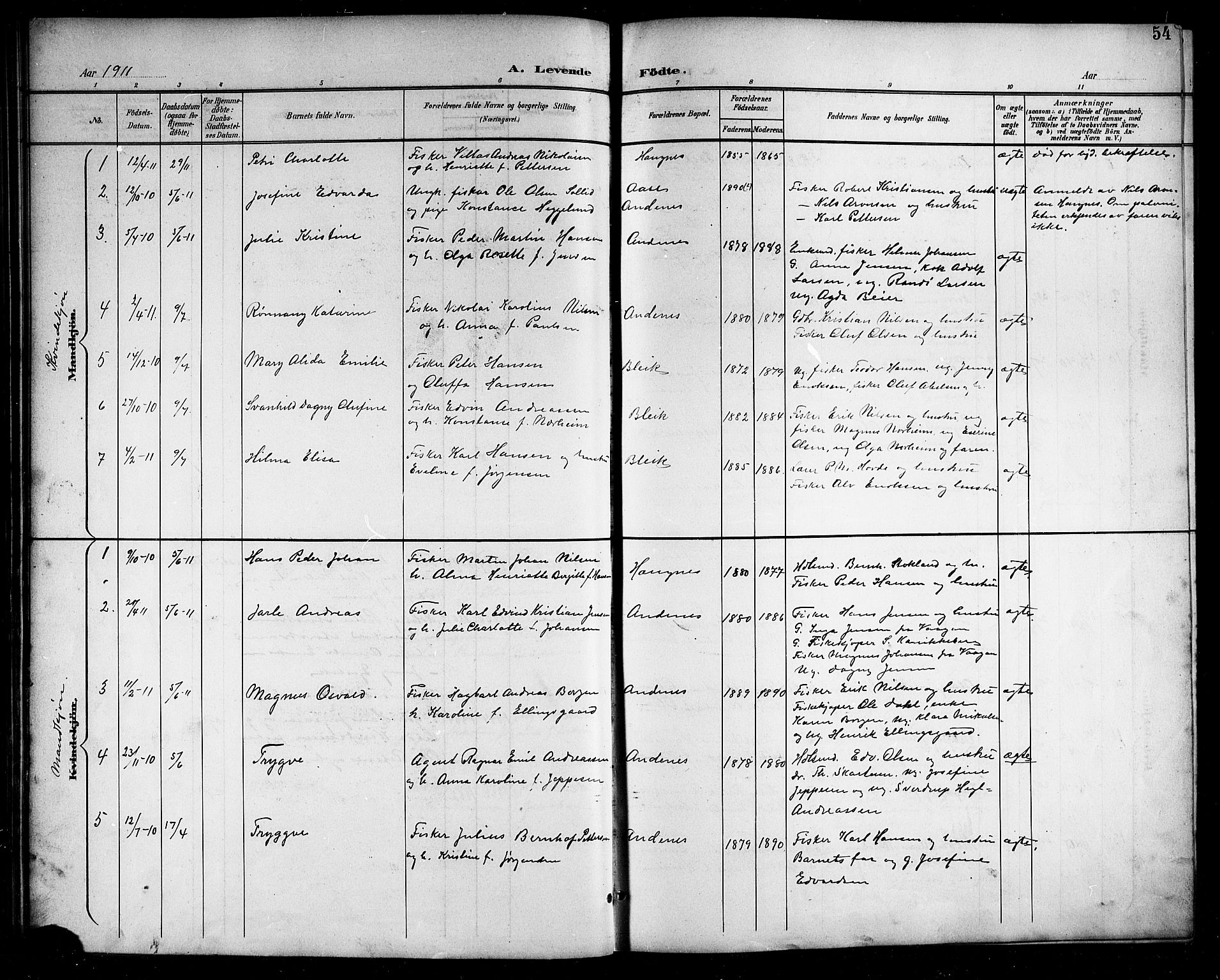 Ministerialprotokoller, klokkerbøker og fødselsregistre - Nordland, AV/SAT-A-1459/899/L1449: Parish register (copy) no. 899C04, 1900-1918, p. 54