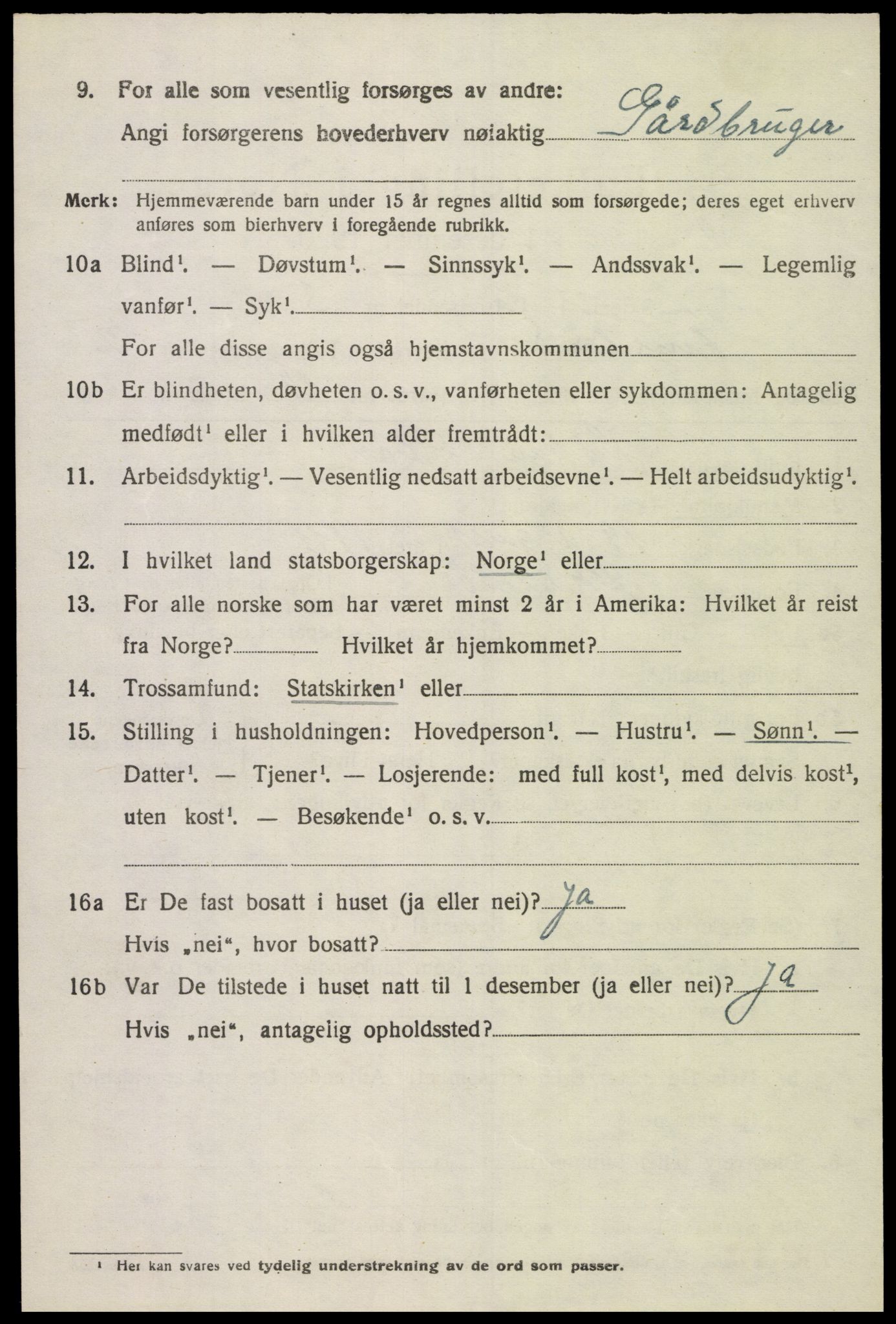 SAK, 1920 census for Finsland, 1920, p. 1175