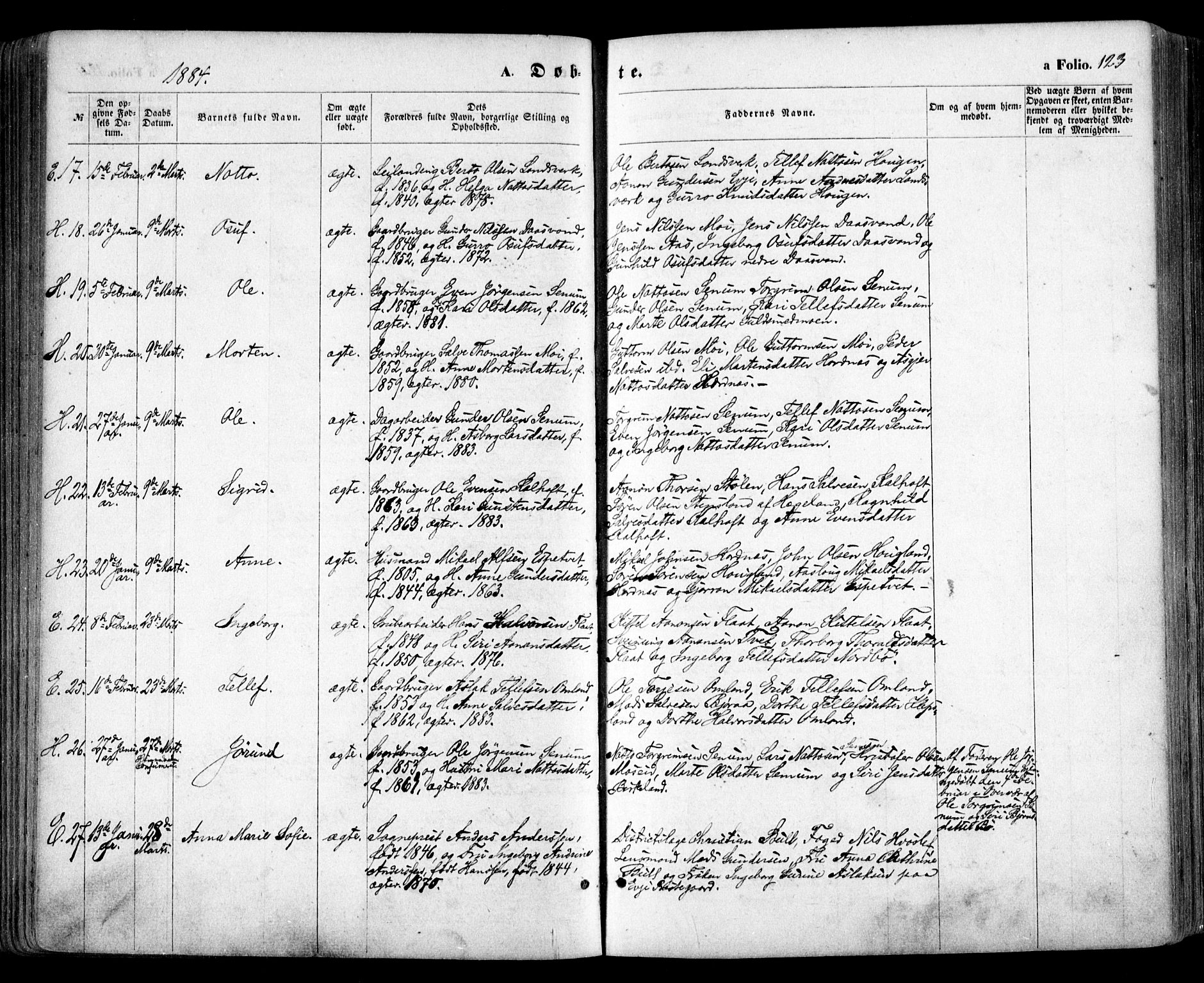 Evje sokneprestkontor, AV/SAK-1111-0008/F/Fa/Faa/L0006: Parish register (official) no. A 6, 1866-1884, p. 123