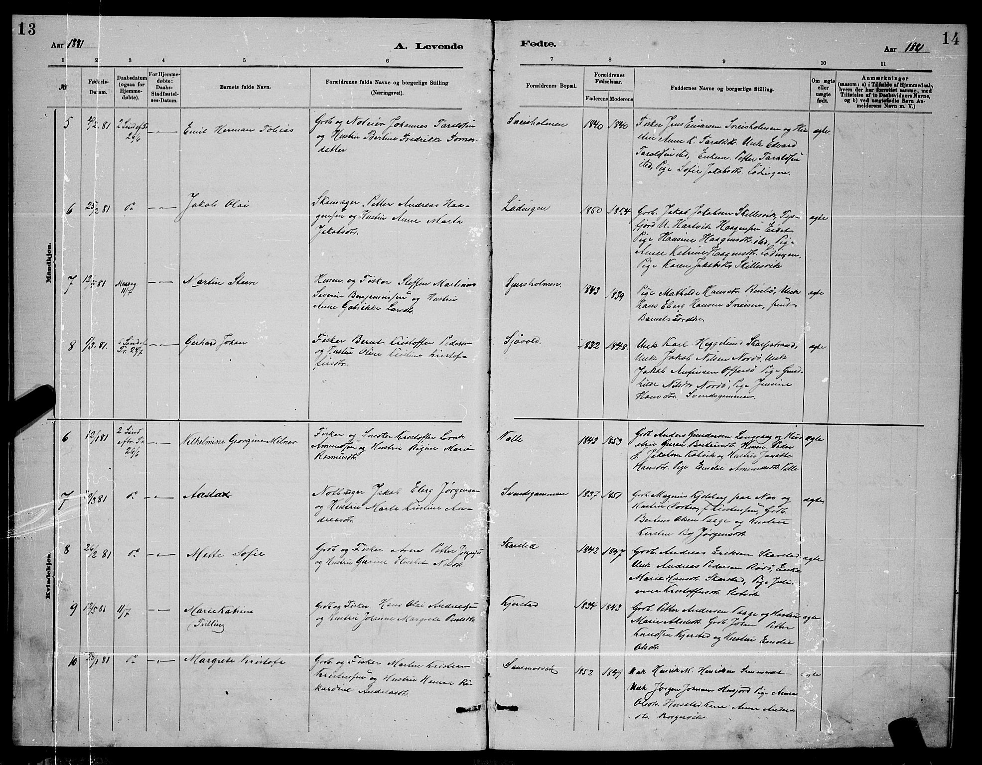 Ministerialprotokoller, klokkerbøker og fødselsregistre - Nordland, AV/SAT-A-1459/872/L1047: Parish register (copy) no. 872C03, 1880-1897, p. 13-14