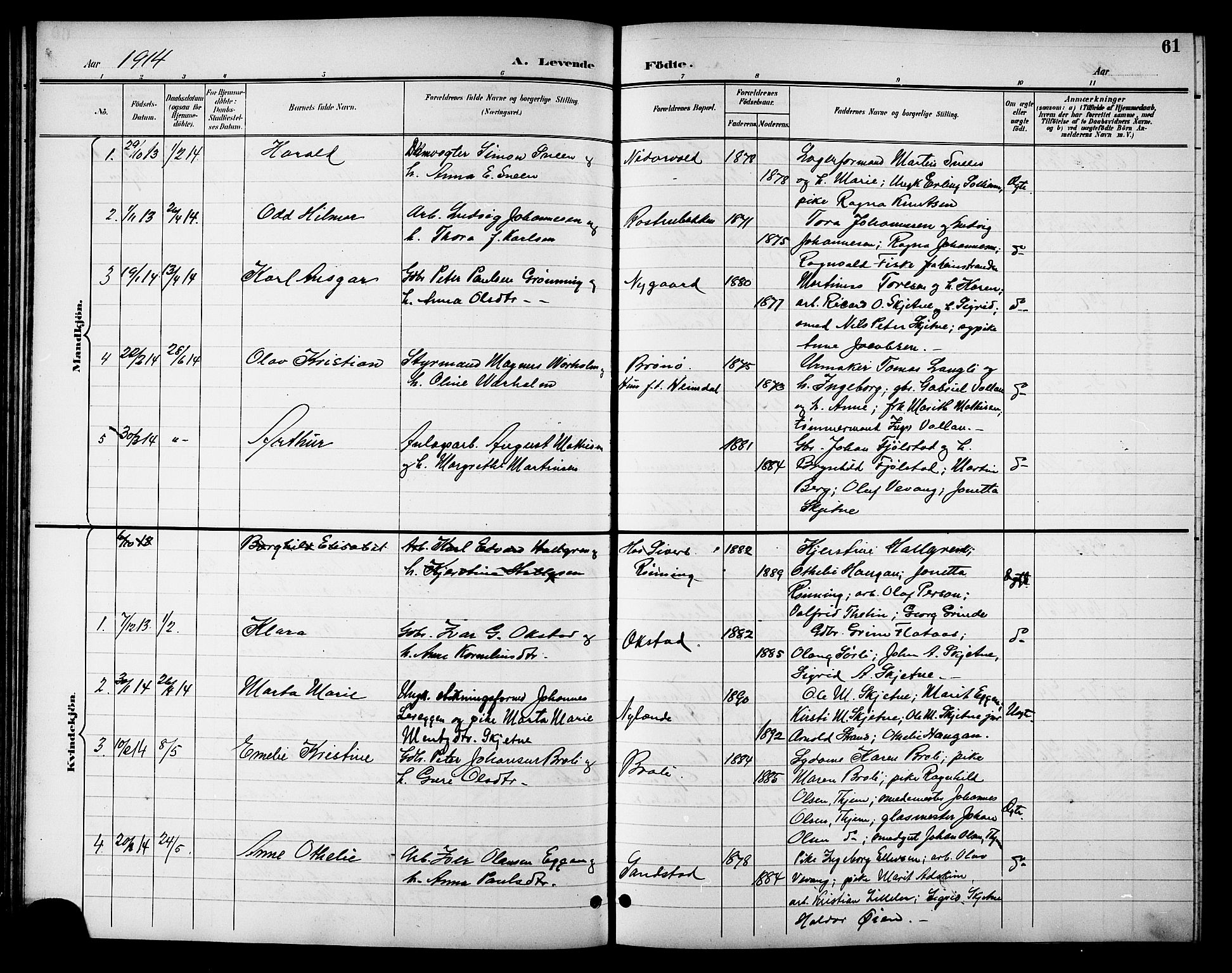 Ministerialprotokoller, klokkerbøker og fødselsregistre - Sør-Trøndelag, SAT/A-1456/621/L0460: Parish register (copy) no. 621C03, 1896-1914, p. 61