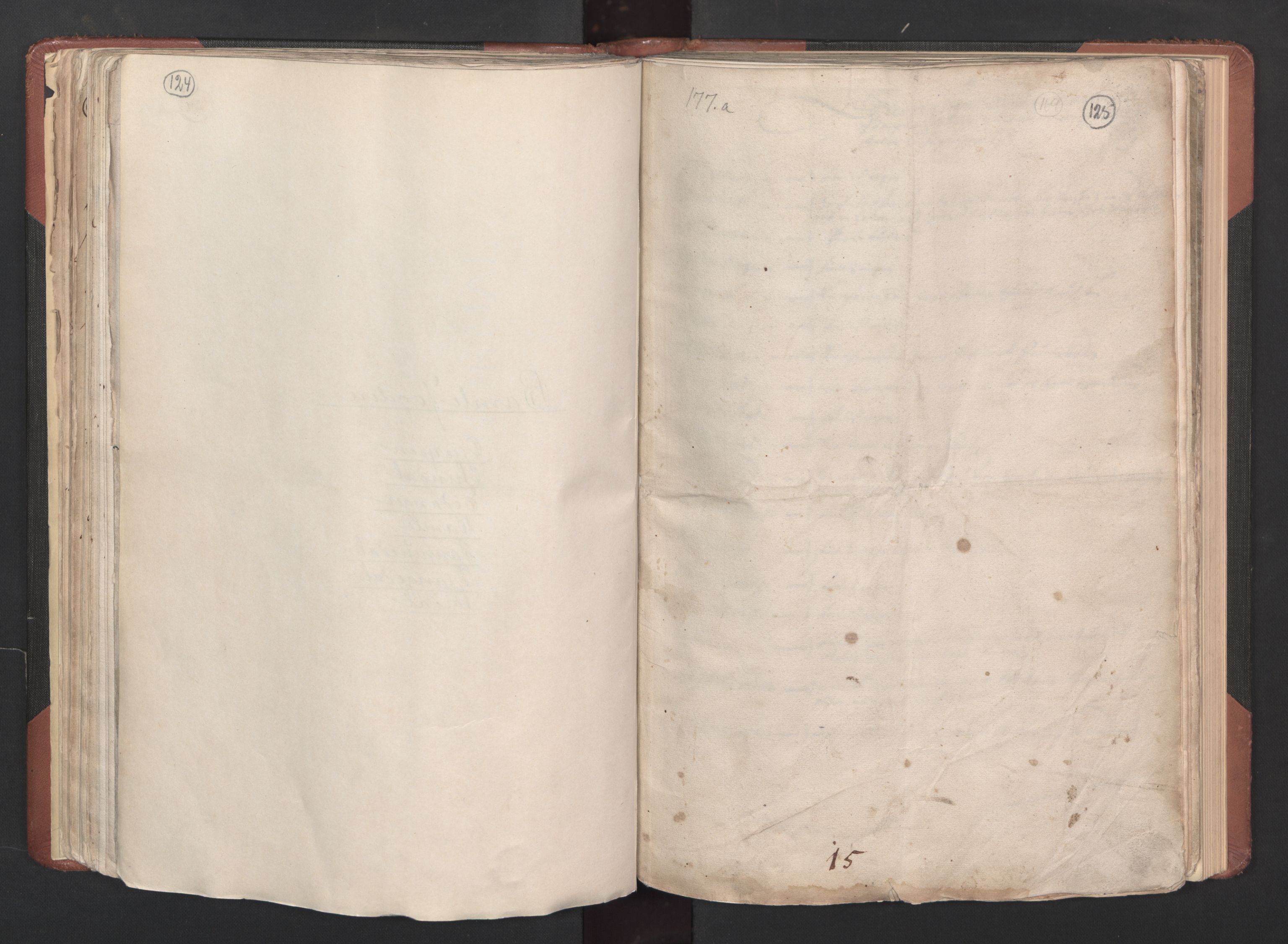 RA, Bailiff's Census 1664-1666, no. 6: Øvre and Nedre Telemark fogderi and Bamble fogderi , 1664, p. 124-125