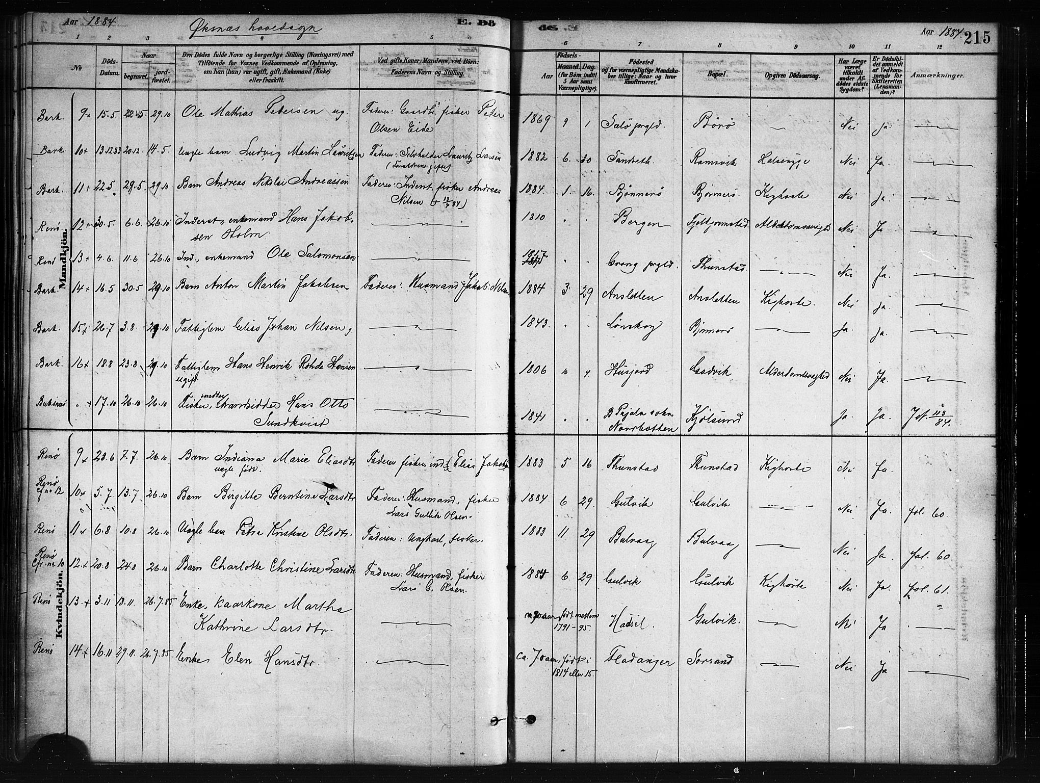 Ministerialprotokoller, klokkerbøker og fødselsregistre - Nordland, AV/SAT-A-1459/893/L1335: Parish register (official) no. 893A08 /1, 1878-1884, p. 215