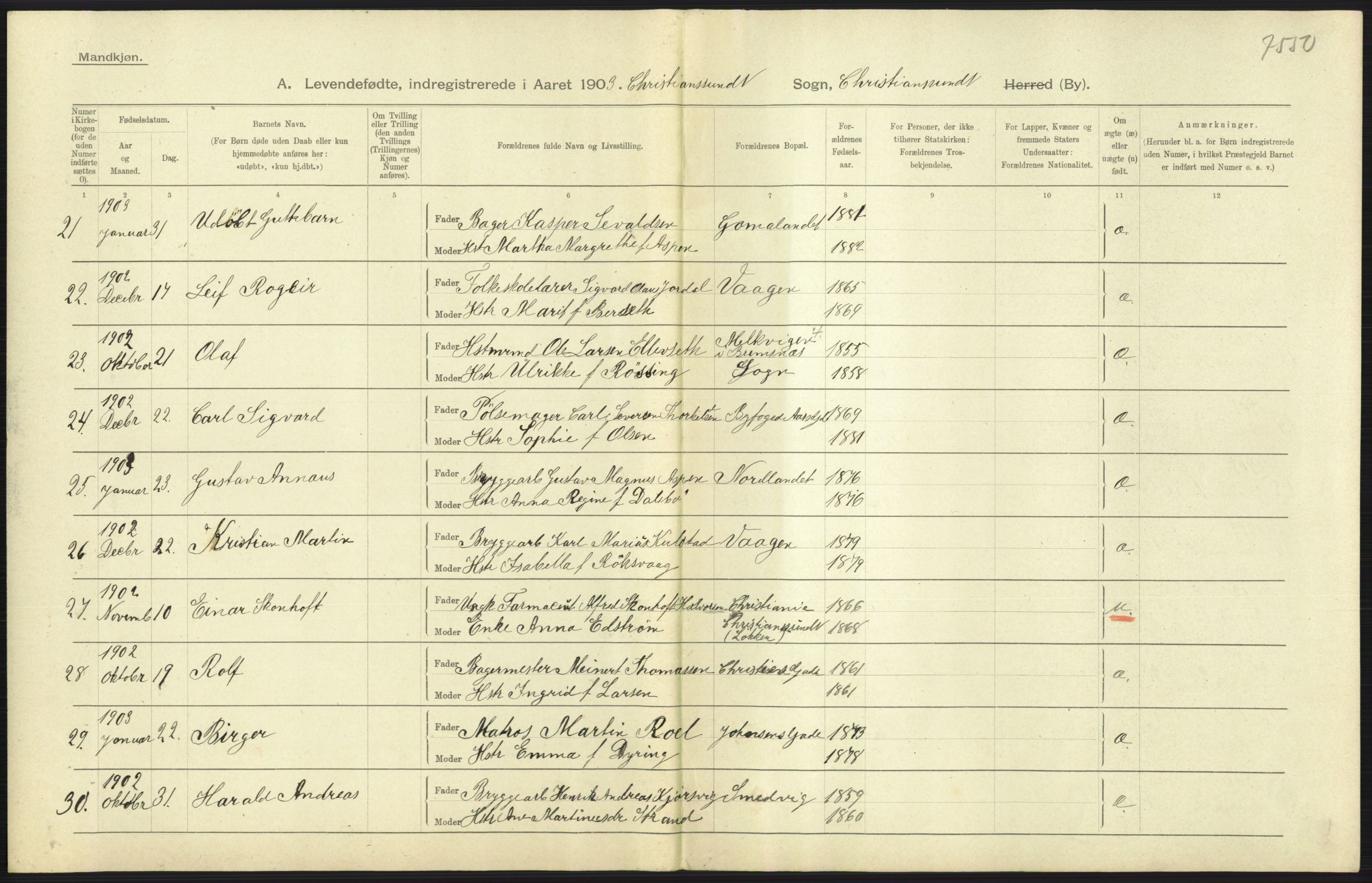 Statistisk sentralbyrå, Sosiodemografiske emner, Befolkning, AV/RA-S-2228/D/Df/Dfa/Dfaa/L0016: Romsdal amt: Fødte, gifte, døde., 1903, p. 425