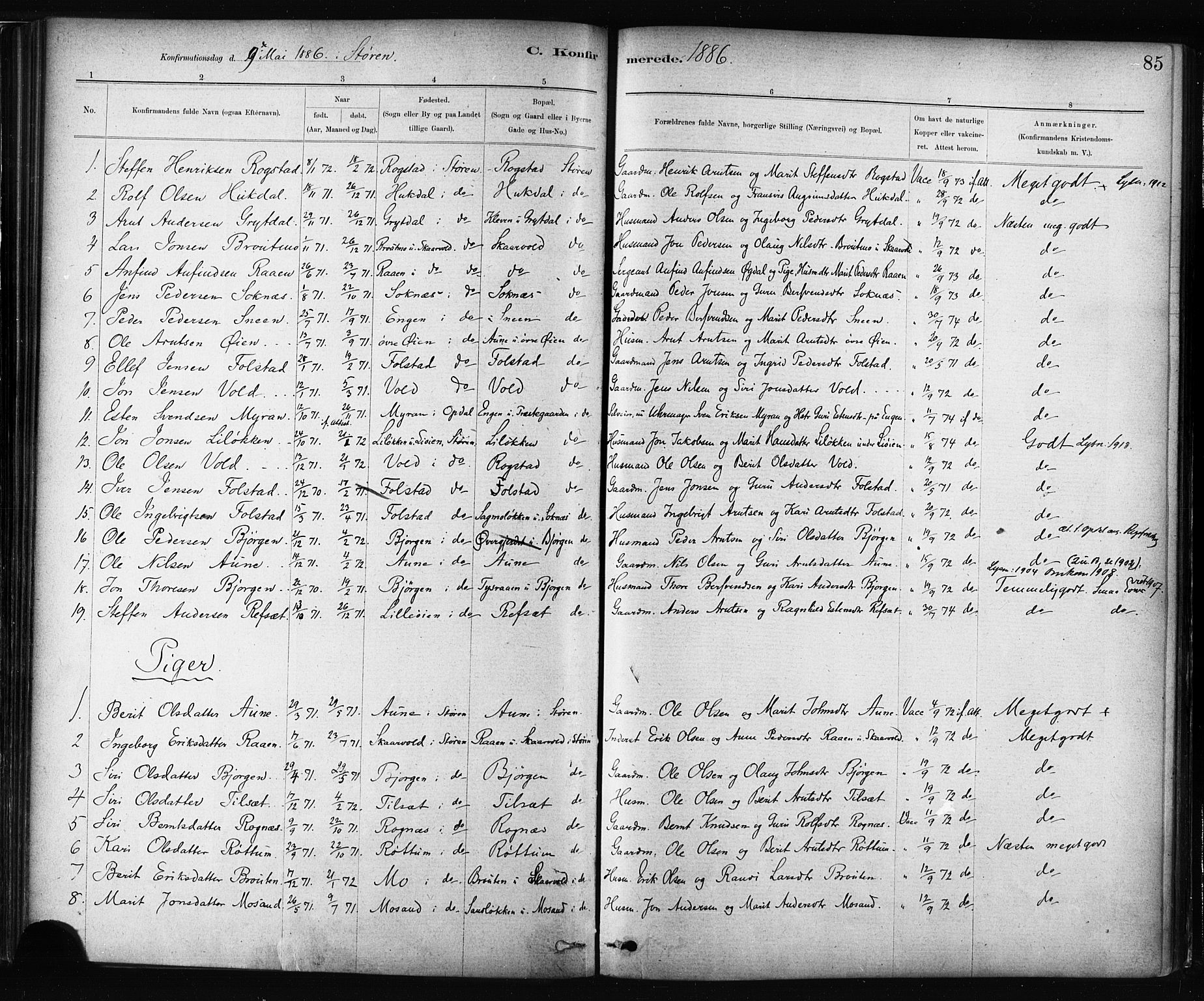 Ministerialprotokoller, klokkerbøker og fødselsregistre - Sør-Trøndelag, SAT/A-1456/687/L1002: Parish register (official) no. 687A08, 1878-1890, p. 85