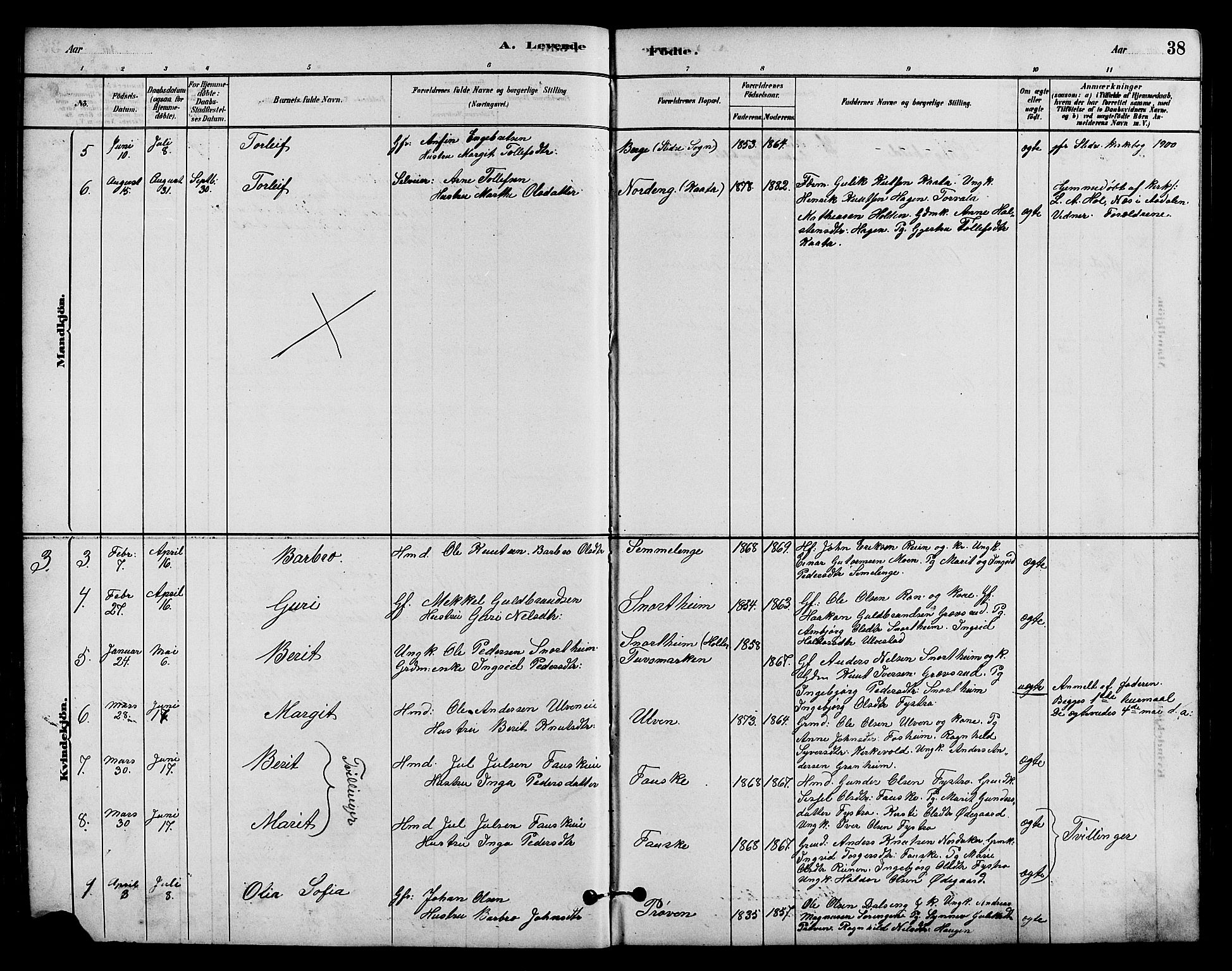 Vestre Slidre prestekontor, SAH/PREST-136/H/Ha/Hab/L0005: Parish register (copy) no. 5, 1881-1913, p. 38