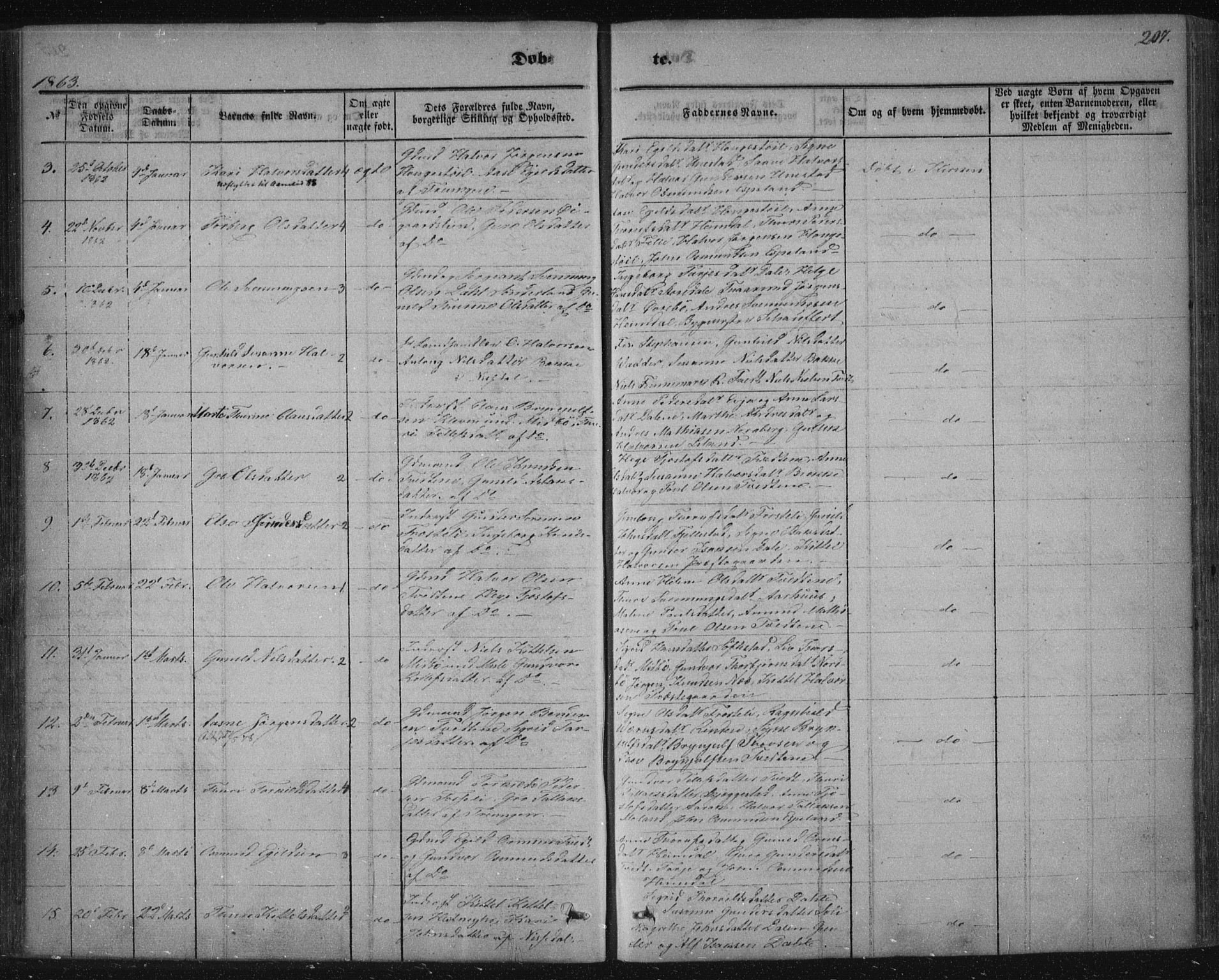 Nissedal kirkebøker, SAKO/A-288/F/Fa/L0003: Parish register (official) no. I 3, 1846-1870, p. 206-207