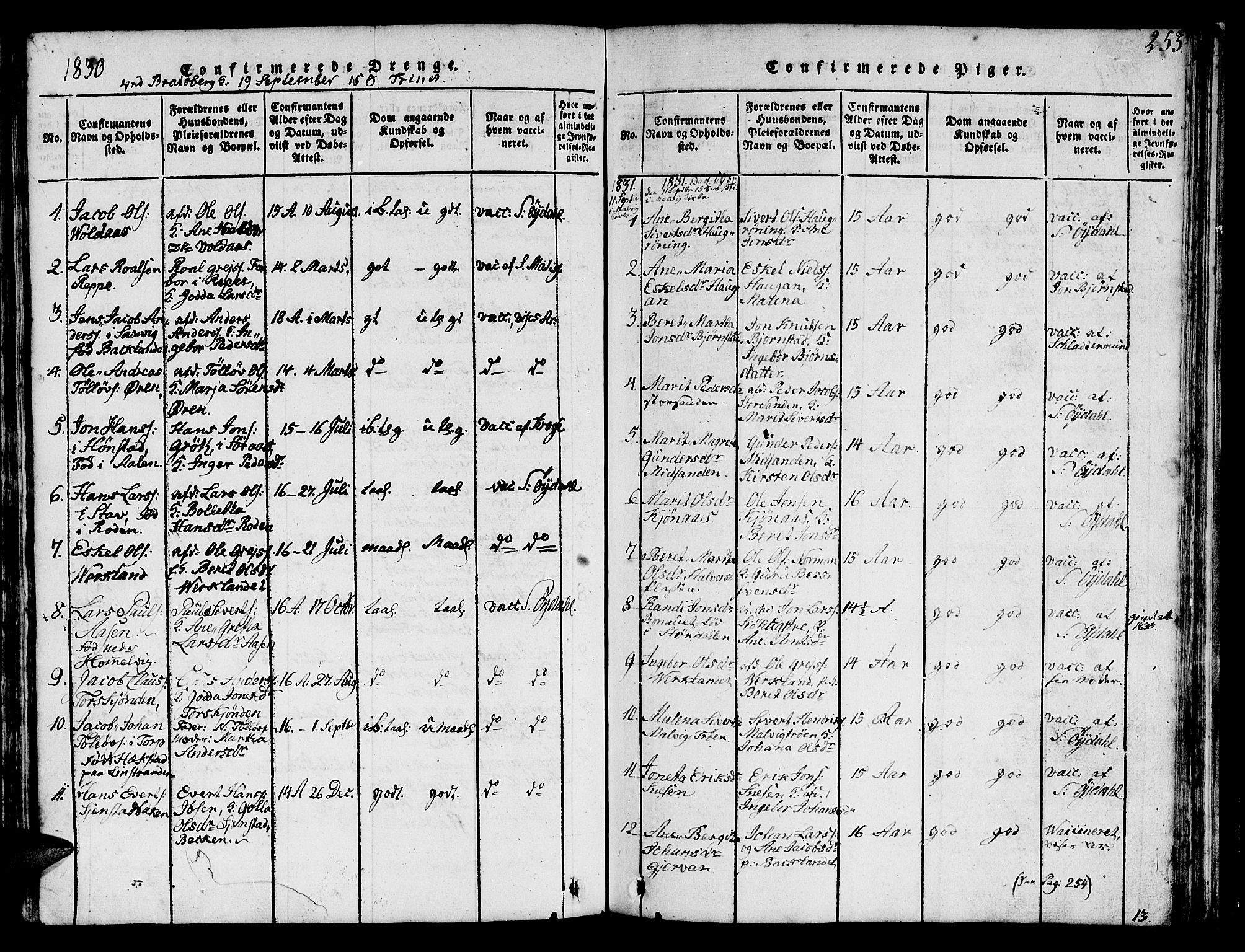 Ministerialprotokoller, klokkerbøker og fødselsregistre - Sør-Trøndelag, SAT/A-1456/616/L0420: Parish register (copy) no. 616C03, 1817-1835, p. 253