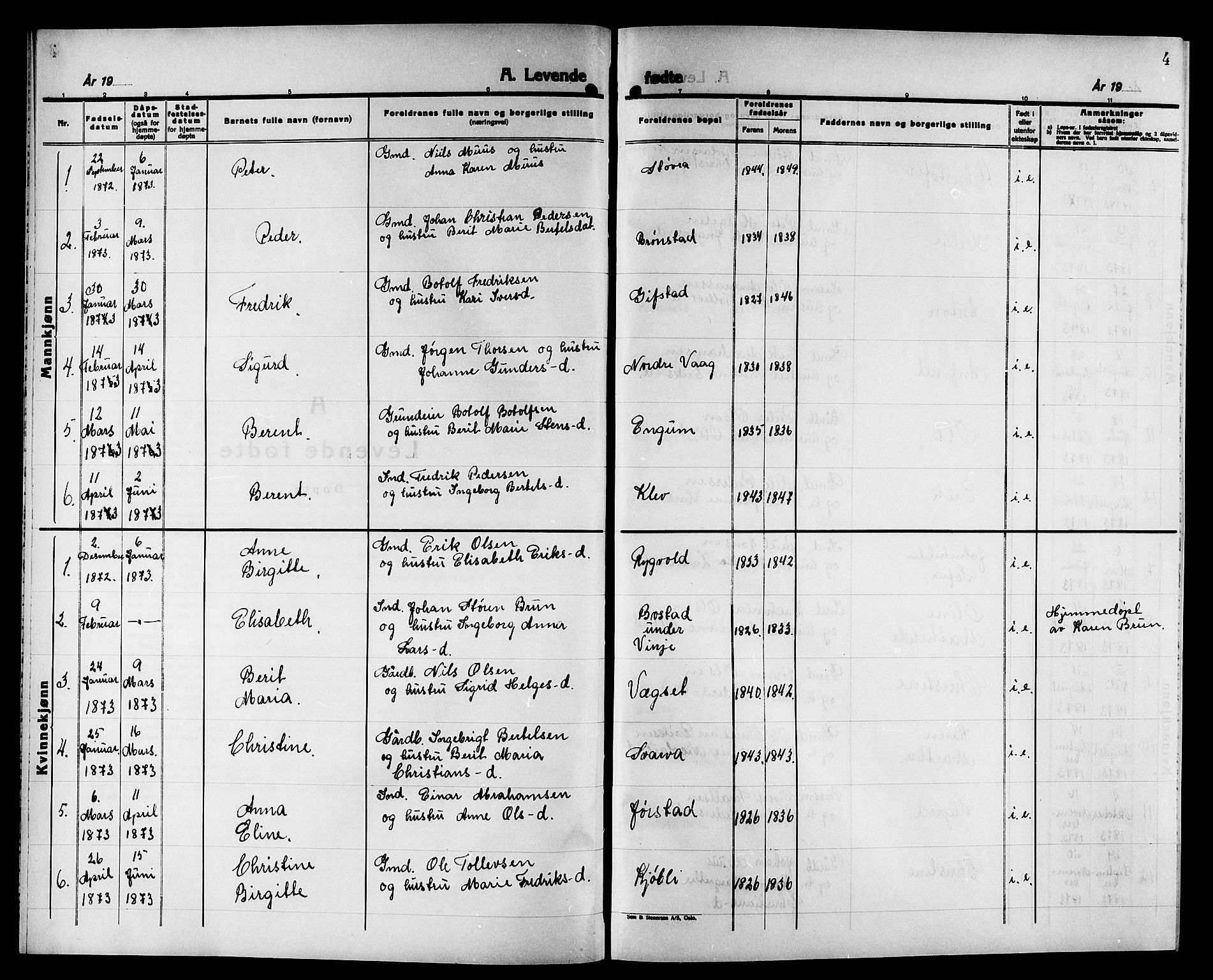 Ministerialprotokoller, klokkerbøker og fødselsregistre - Nord-Trøndelag, AV/SAT-A-1458/749/L0486: Parish register (official) no. 749D02, 1873-1887, p. 4