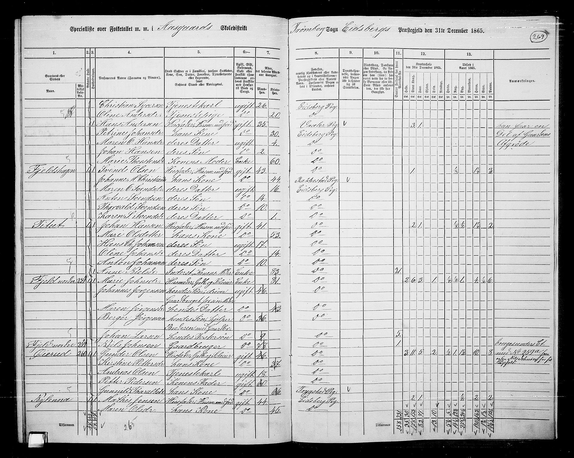 RA, 1865 census for Eidsberg, 1865, p. 245