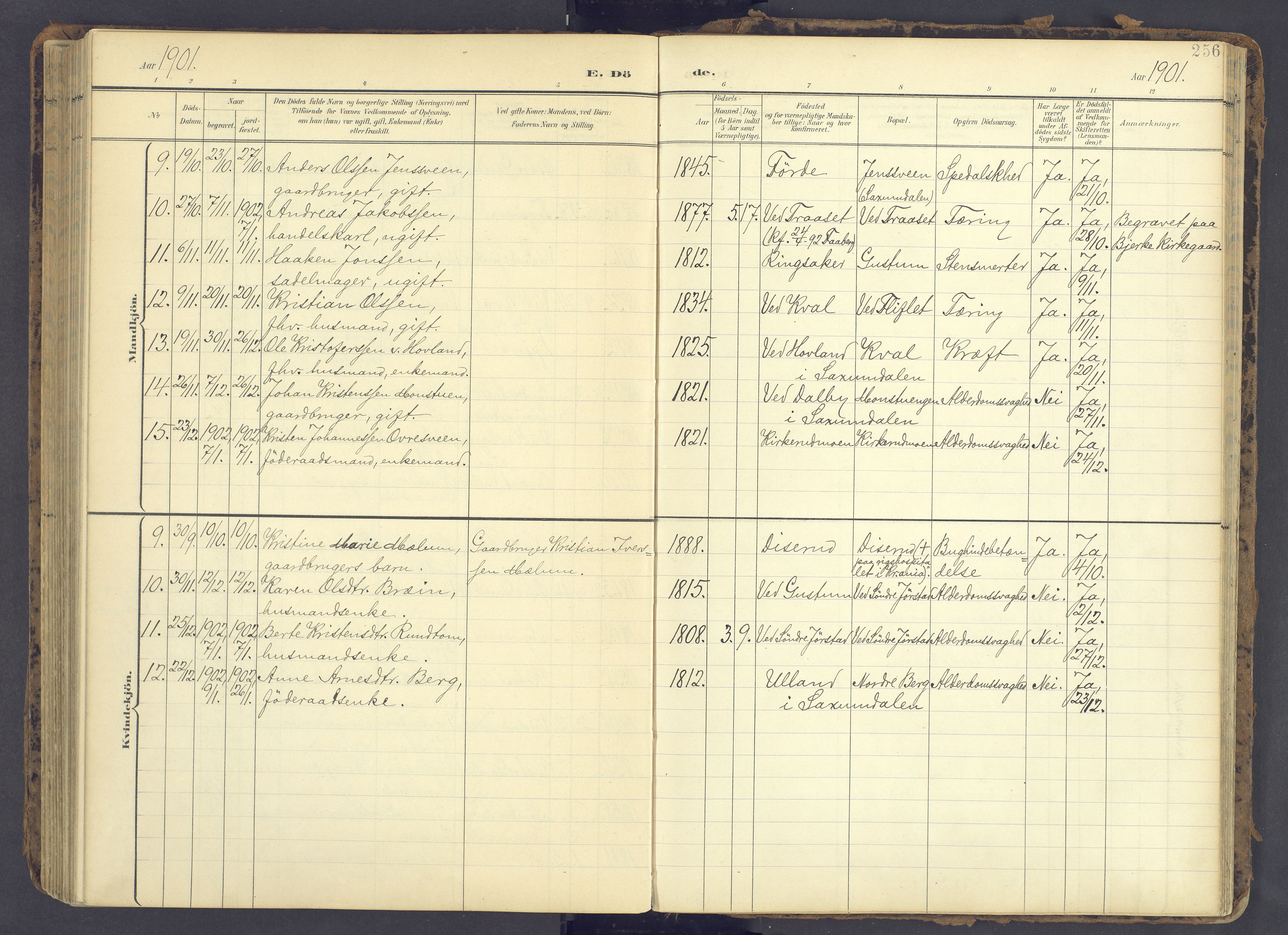 Fåberg prestekontor, AV/SAH-PREST-086/H/Ha/Haa/L0012: Parish register (official) no. 12, 1899-1915, p. 256