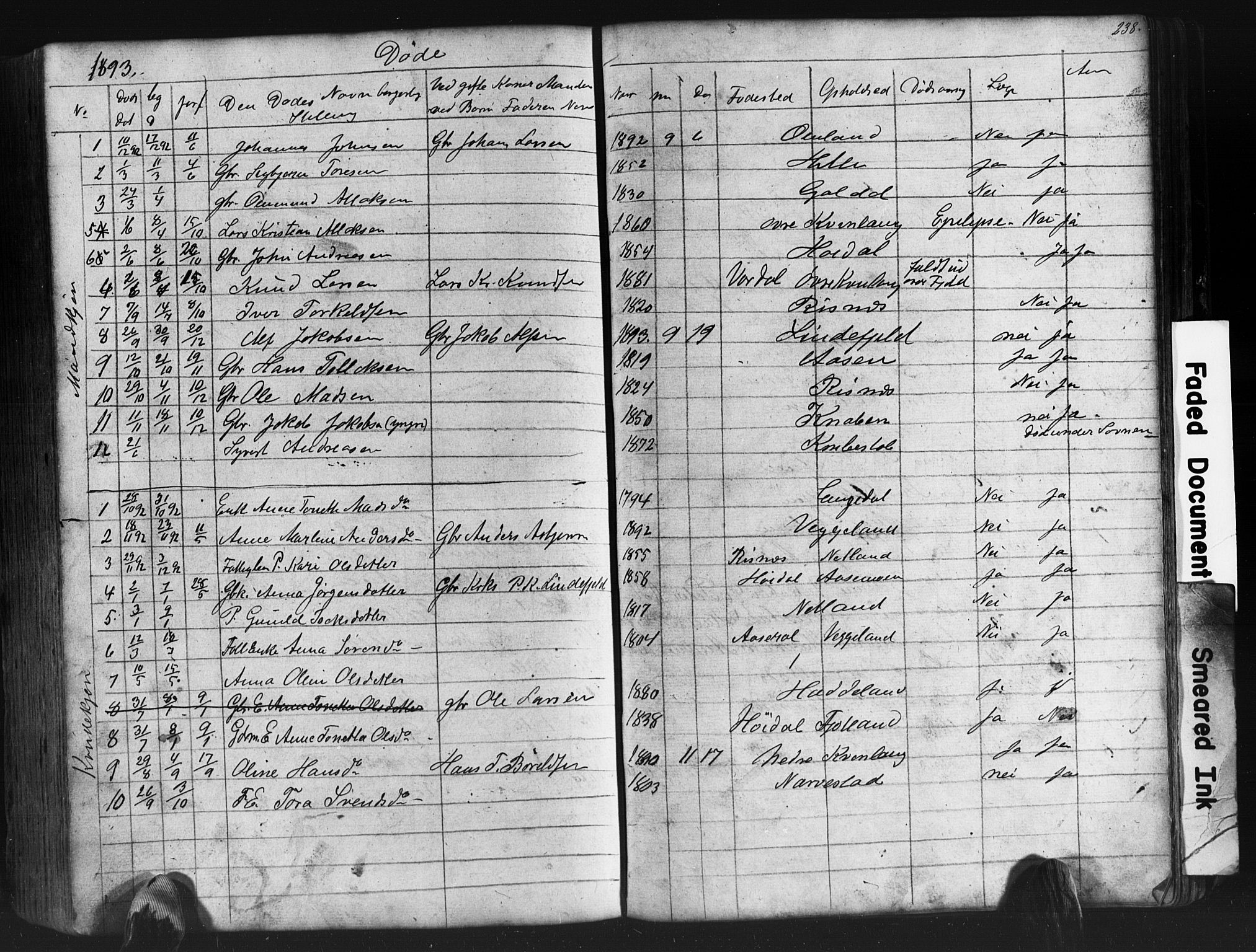 Fjotland sokneprestkontor, SAK/1111-0010/F/Fb/L0003: Parish register (copy) no. B 3, 1872-1924, p. 238