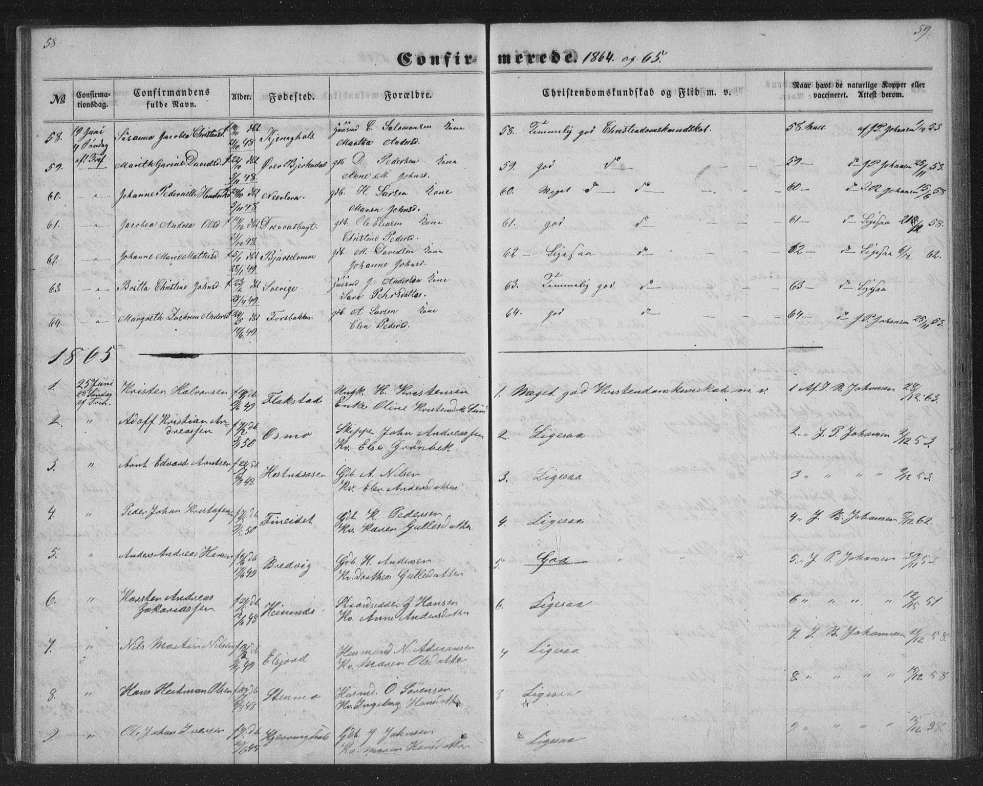 Ministerialprotokoller, klokkerbøker og fødselsregistre - Nordland, AV/SAT-A-1459/825/L0366: Parish register (copy) no. 825C03, 1858-1884, p. 58-59