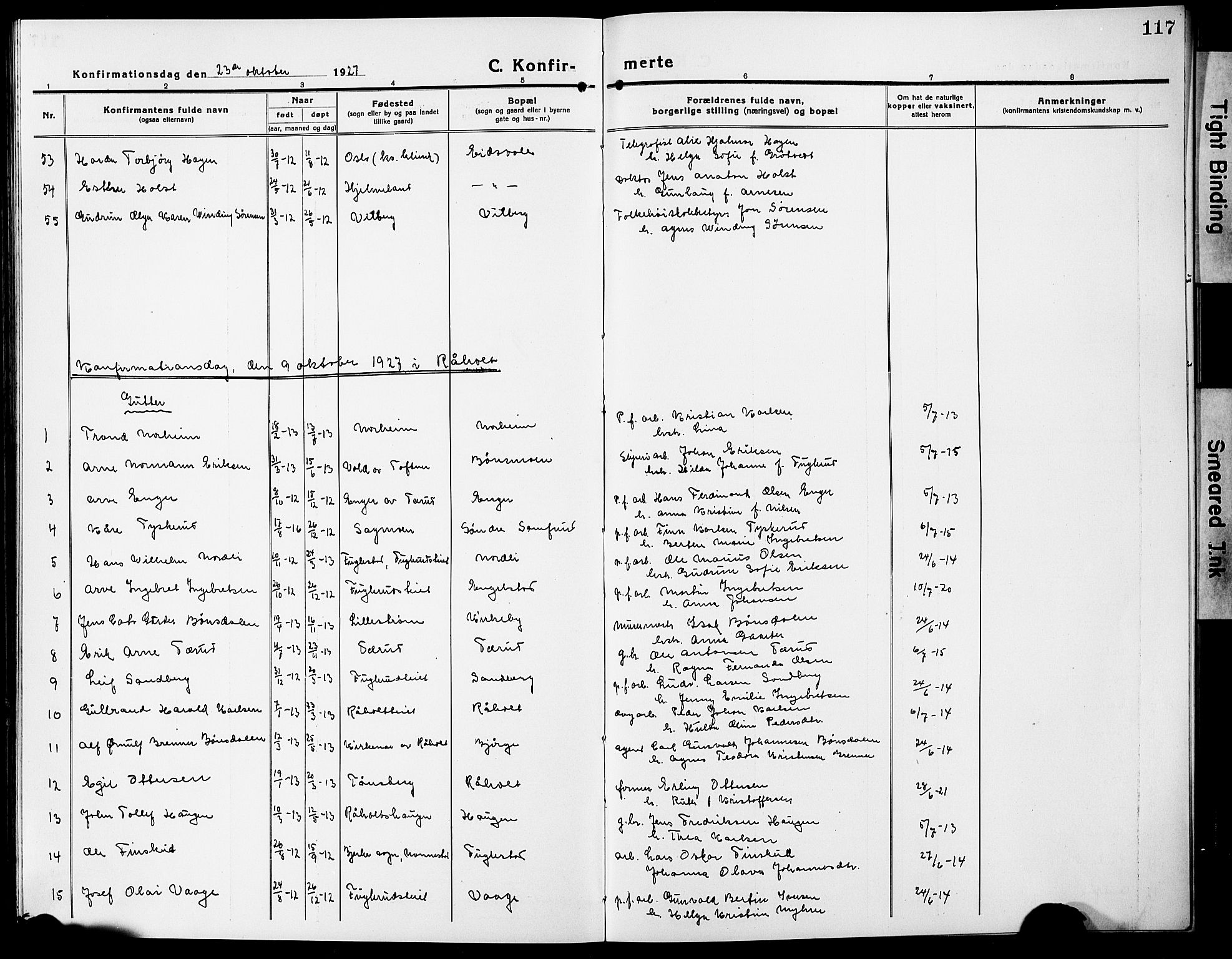 Eidsvoll prestekontor Kirkebøker, AV/SAO-A-10888/G/Ga/L0009: Parish register (copy) no. I 9, 1914-1927, p. 117