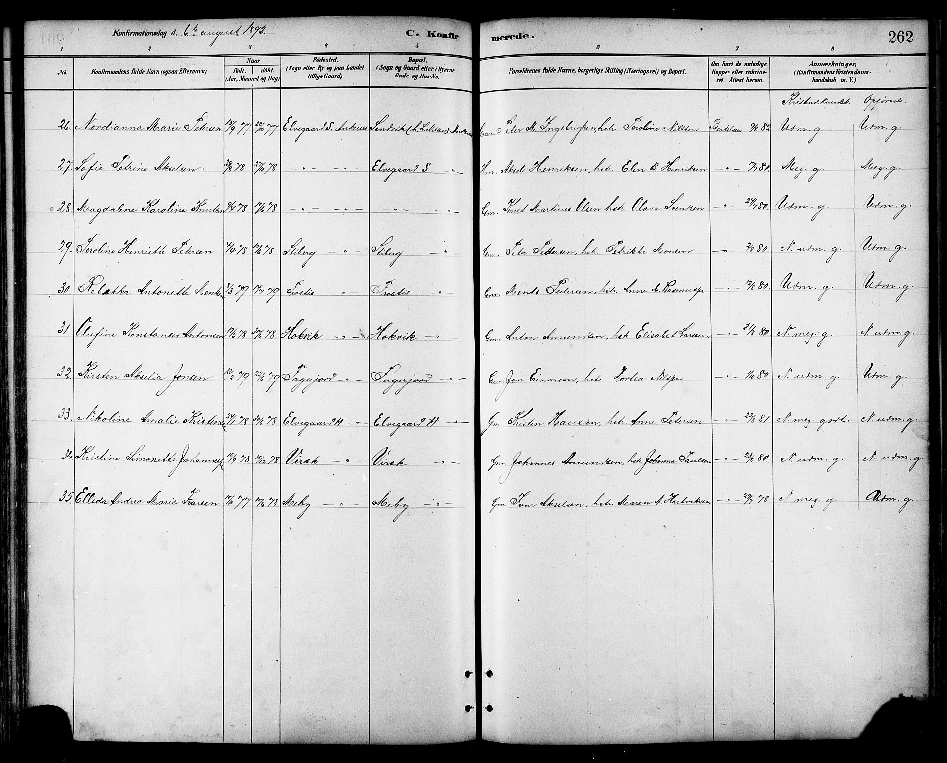 Ministerialprotokoller, klokkerbøker og fødselsregistre - Nordland, AV/SAT-A-1459/866/L0938: Parish register (official) no. 866A01, 1879-1893, p. 262