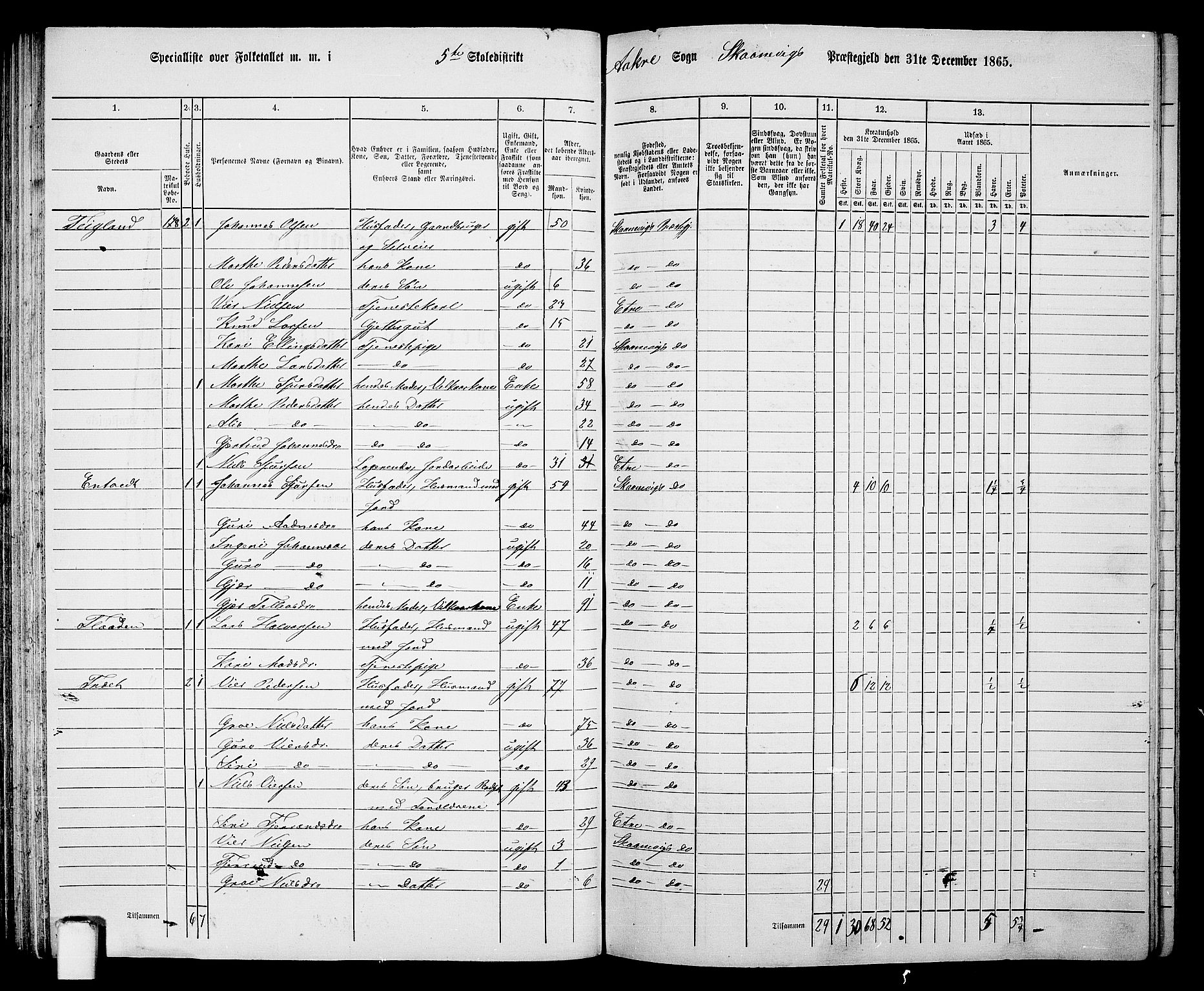 RA, 1865 census for Skånevik, 1865, p. 76