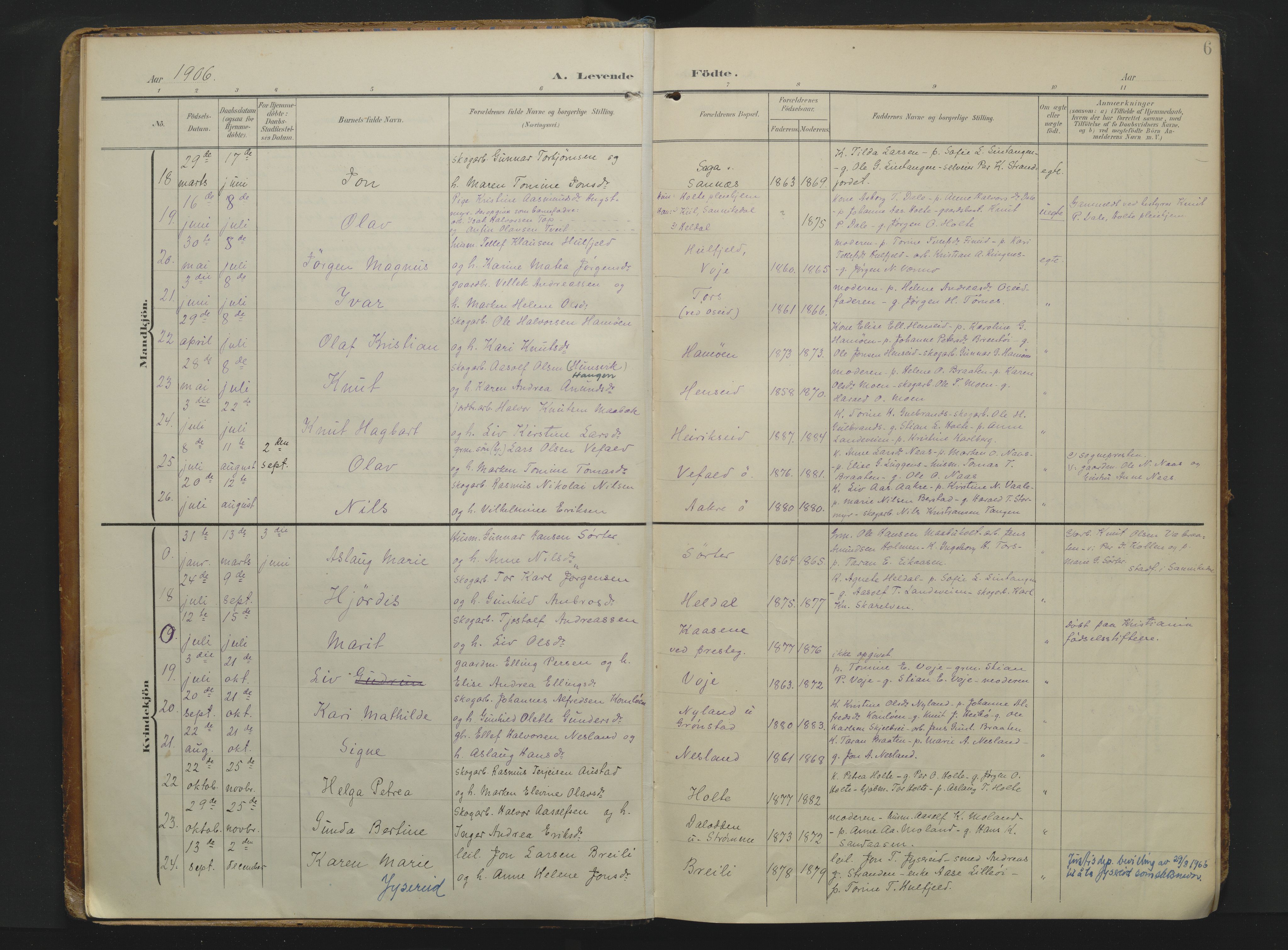 Drangedal kirkebøker, AV/SAKO-A-258/F/Fa/L0014: Parish register (official) no. 14, 1906-1920, p. 6
