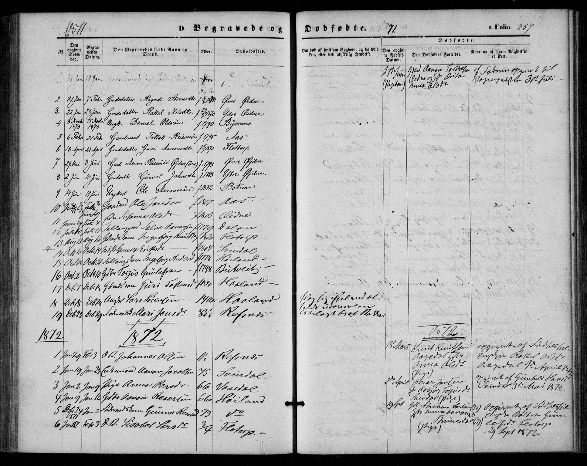 Bjelland sokneprestkontor, AV/SAK-1111-0005/F/Fa/Fac/L0002: Parish register (official) no. A 2, 1866-1887, p. 257