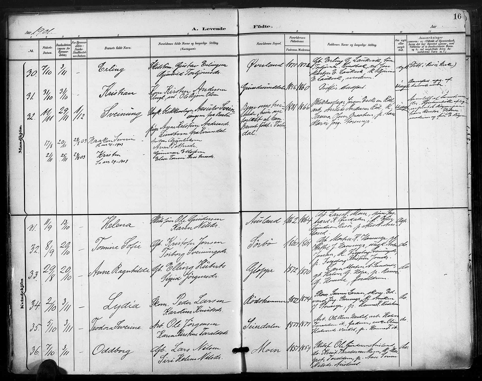 Søndeled sokneprestkontor, AV/SAK-1111-0038/F/Fa/L0006: Parish register (official) no. A 6, 1900-1922, p. 16