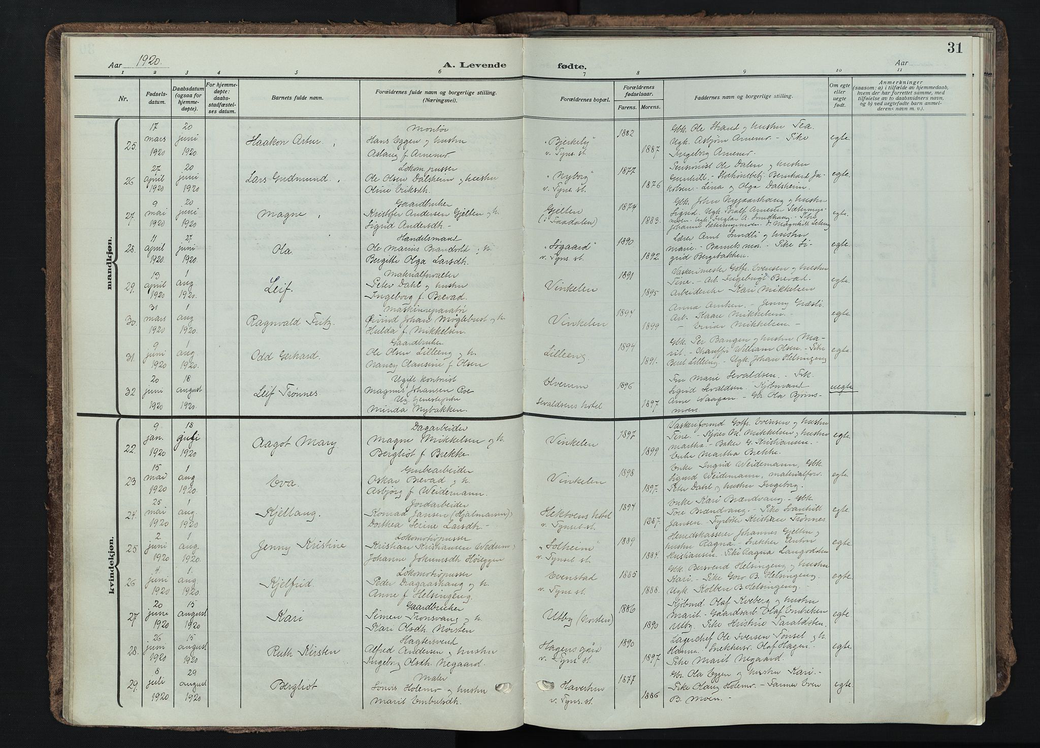 Tynset prestekontor, AV/SAH-PREST-058/H/Ha/Haa/L0026: Parish register (official) no. 26, 1915-1929, p. 31