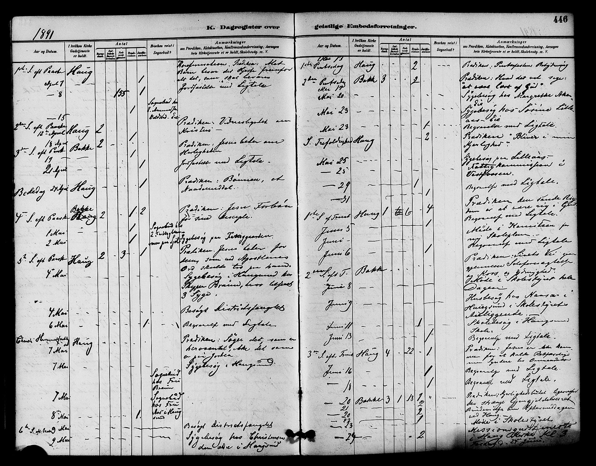 Eiker kirkebøker, AV/SAKO-A-4/F/Fb/L0002: Parish register (official) no. II 2, 1889-1896, p. 446