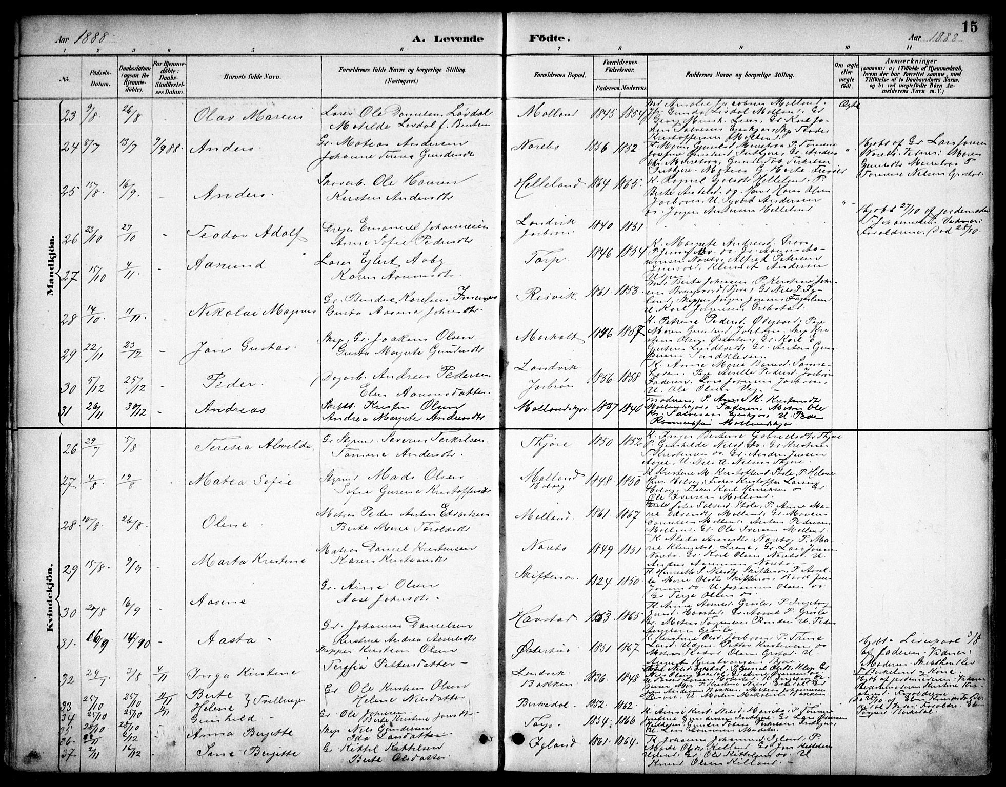 Hommedal sokneprestkontor, AV/SAK-1111-0023/F/Fb/Fbb/L0007: Parish register (copy) no. B 7, 1885-1904, p. 15